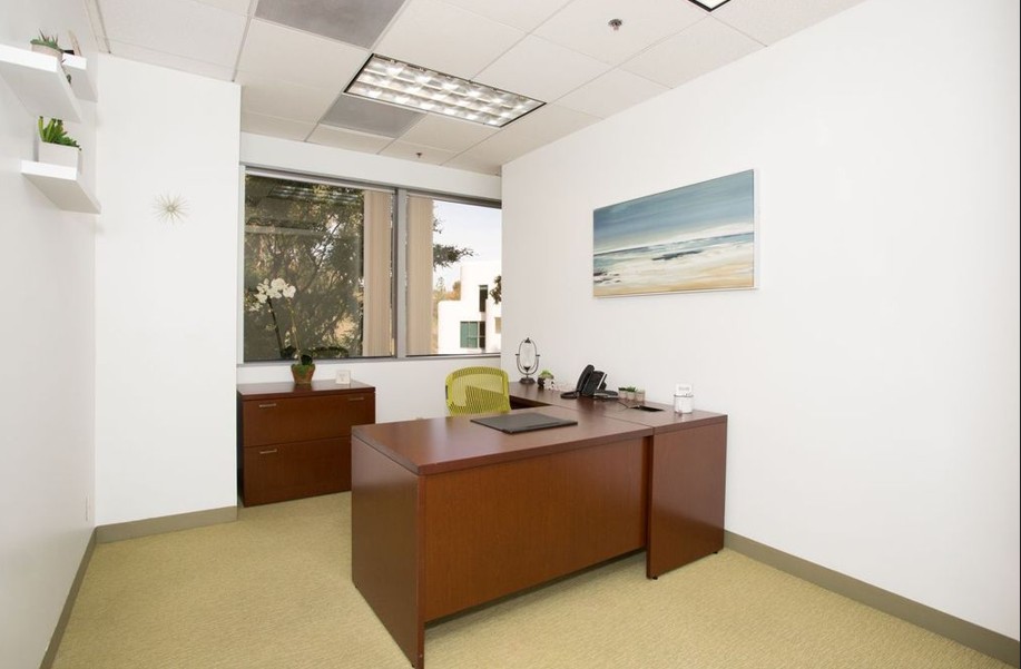 Private Office To Rent, Laguna Niguel, 92677 – photo 3