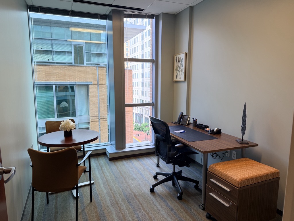 Private Office To Rent, Reston, 20190 – photo 2