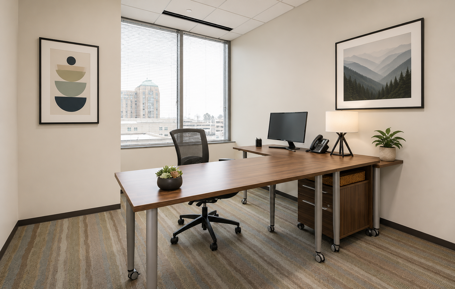 Private Office To Rent, Reston, 20190 – photo 1