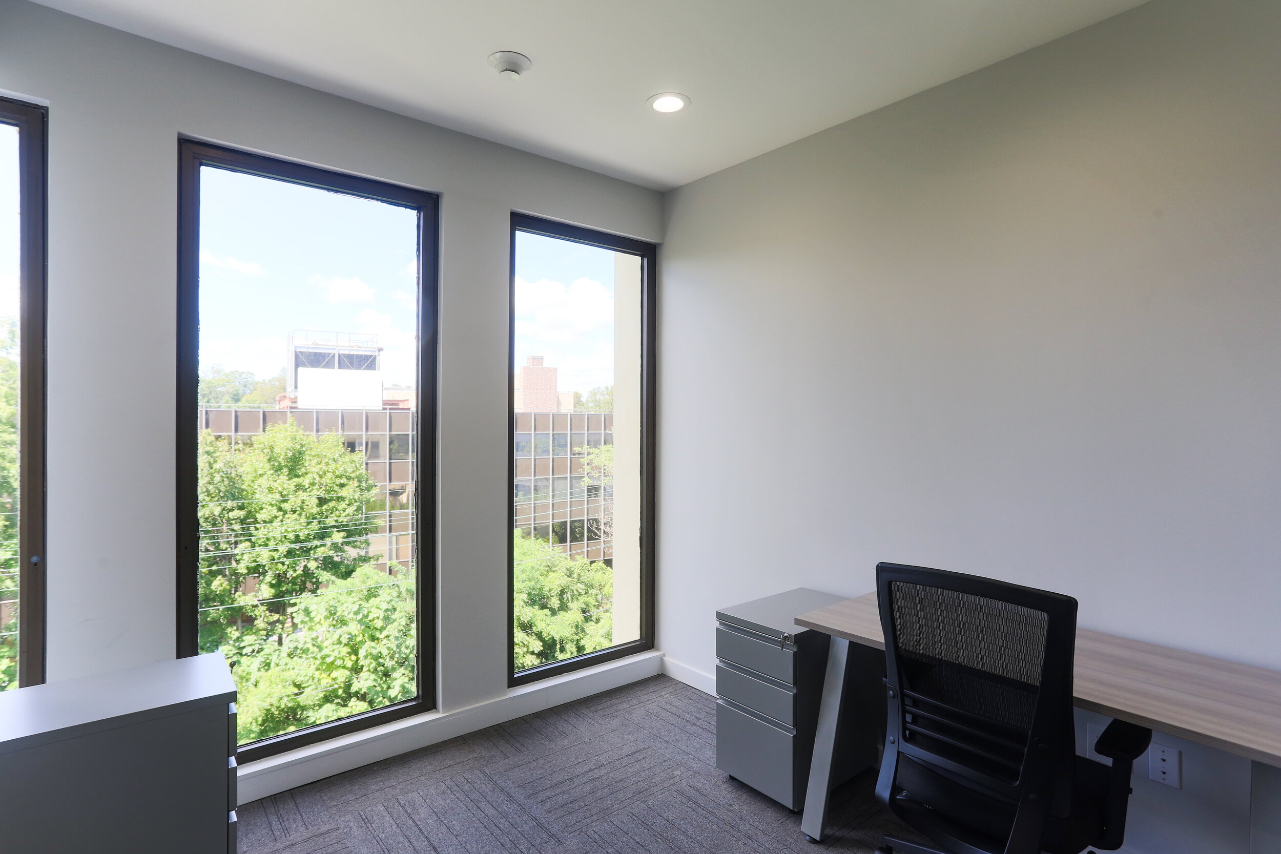 Private Office To Rent, Great Neck, 11021 – photo 3