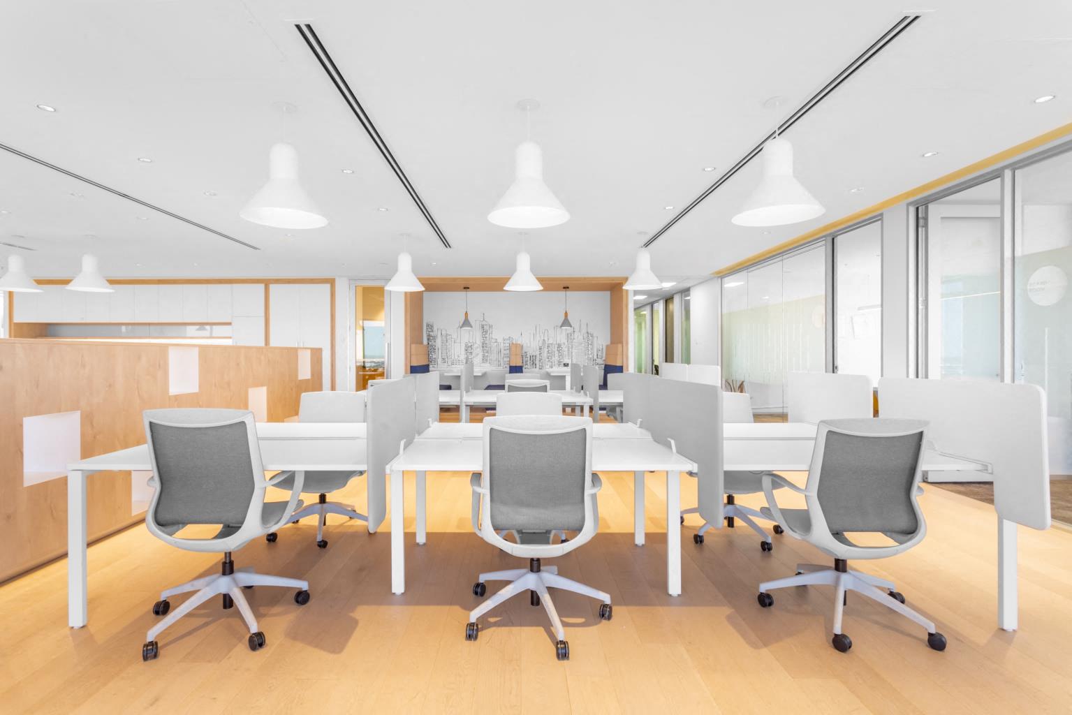 Private Office To Rent, New York, 11791 – photo 3