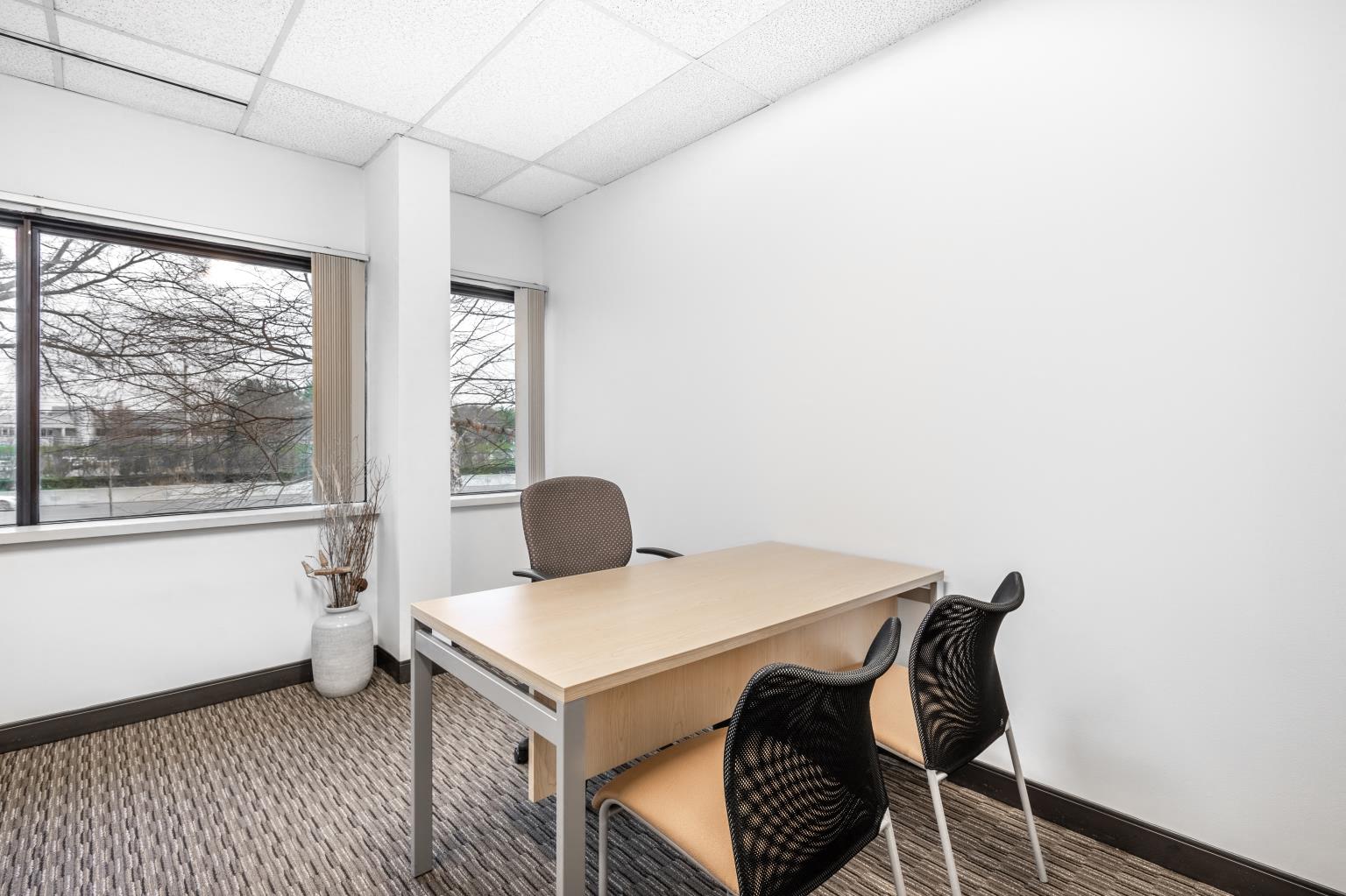 Private Office To Rent, New York, 11747 – photo 5