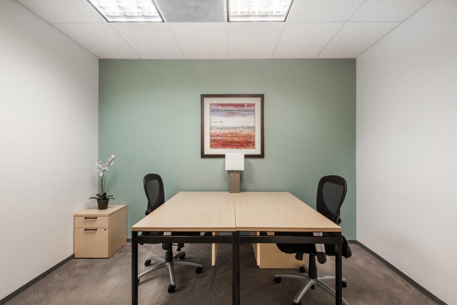 Private Office To Rent, New York, 11042 – photo 6