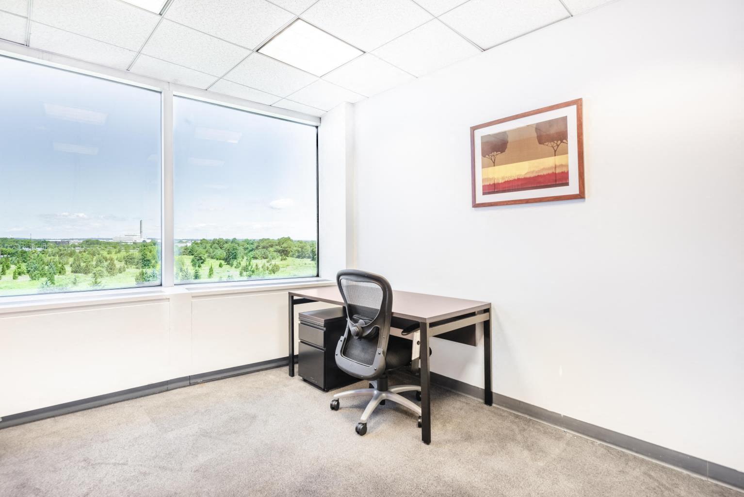 Private Office To Rent, New York, 11556 – photo 5
