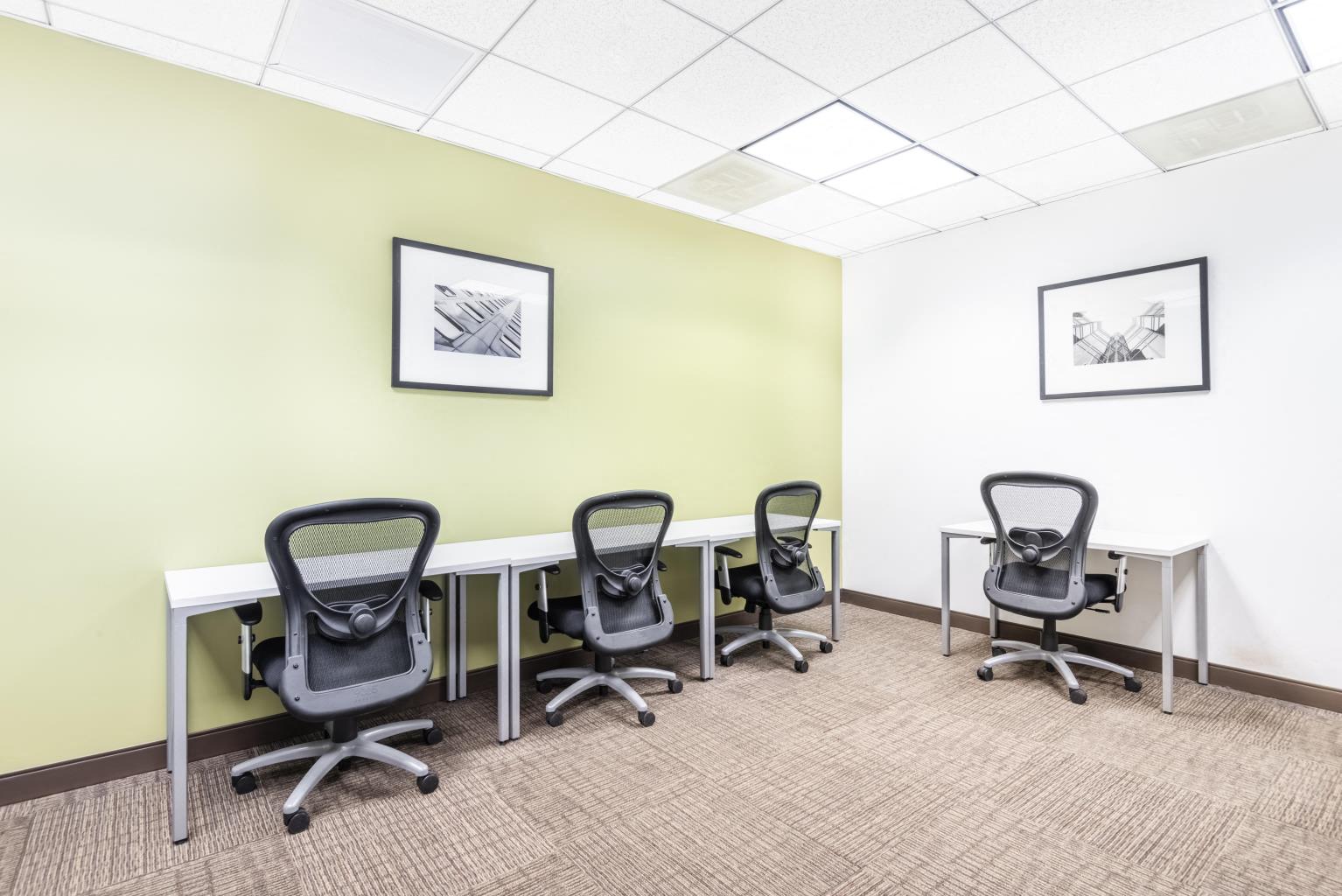 Private Office To Rent, New York, 11556 – photo 6