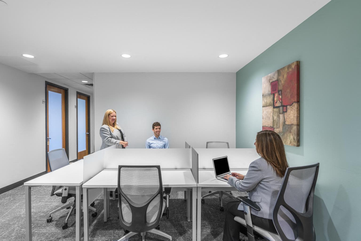 Private Office To Rent, New York, 10591 – photo 6