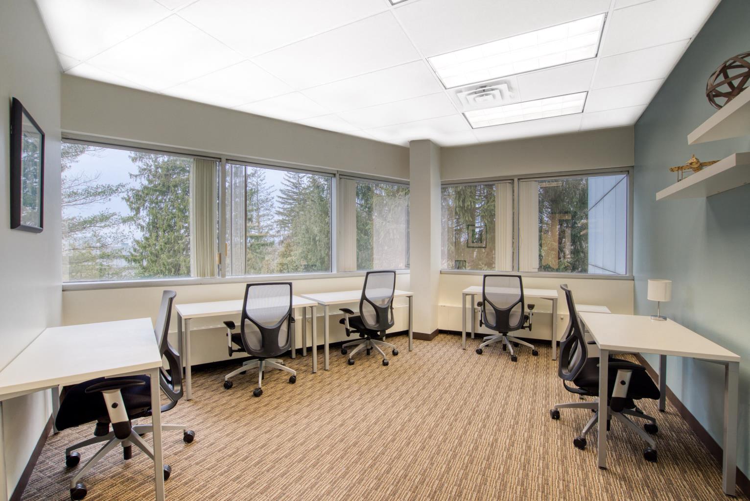 Private Office To Rent, New York, 10580 – photo 4