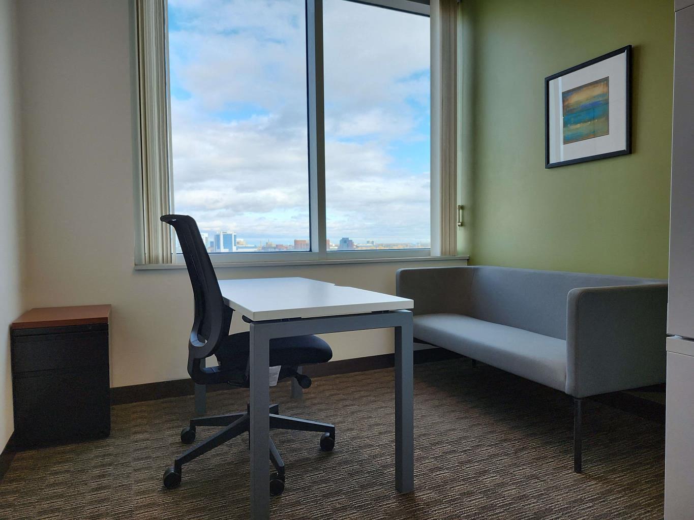 Private Office To Rent, Buffalo, 14202 – photo 6