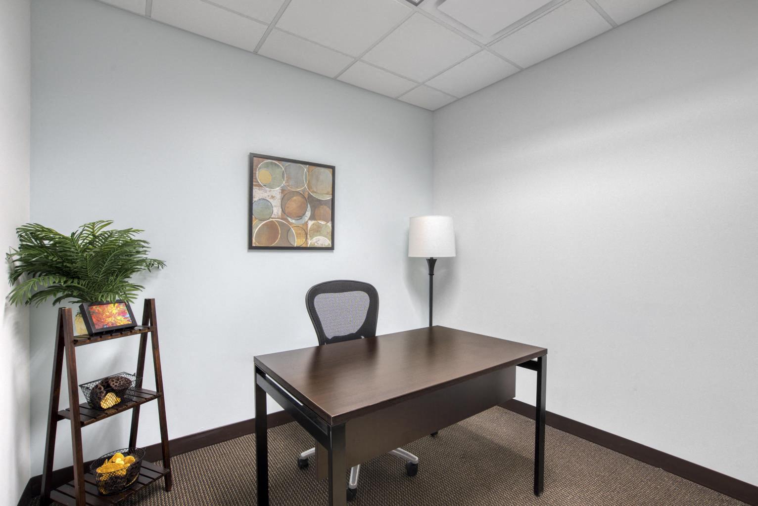 Private Office To Rent, New York, 11801 – photo 5