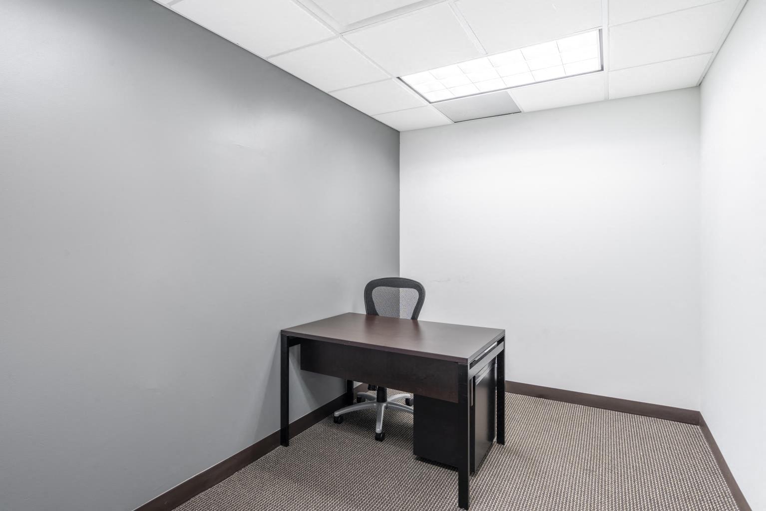Private Office To Rent, Manhasset, 11030 – photo 5