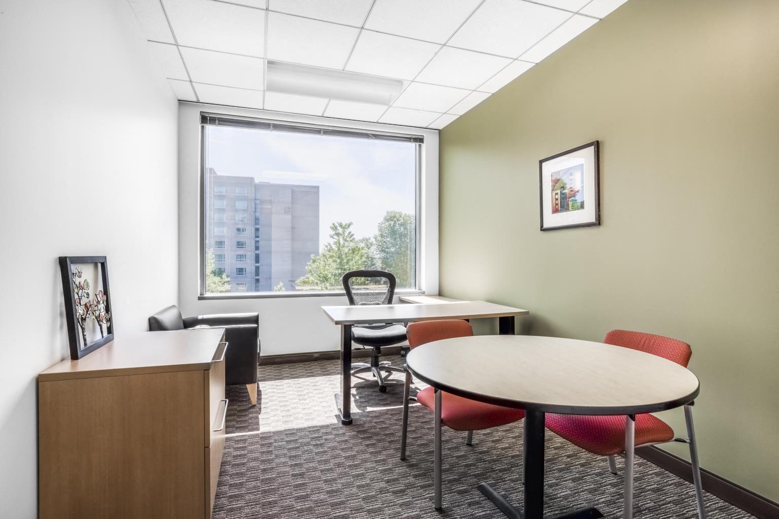 Private Office To Rent, Chicago, 60527 – photo 4