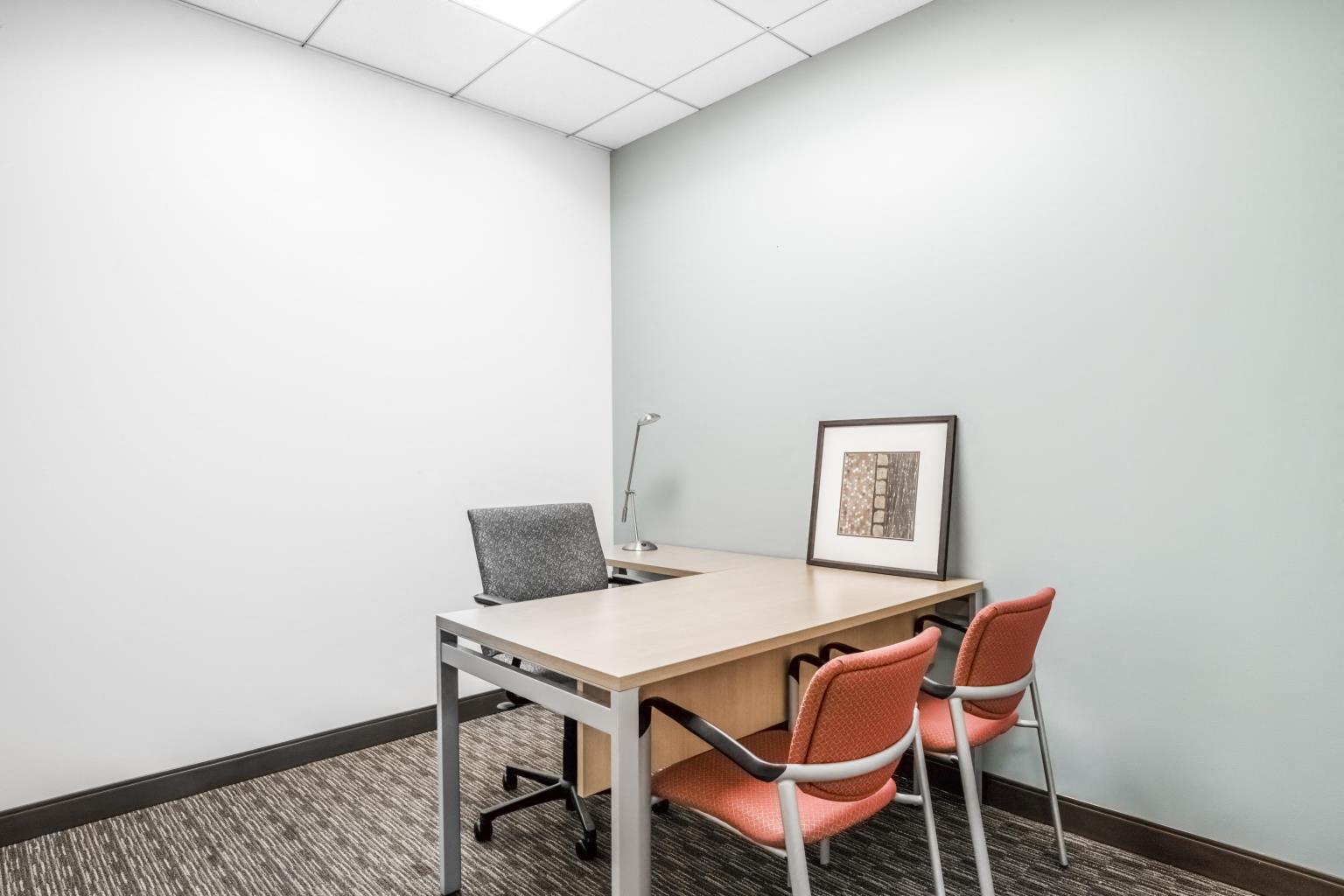 Private Office To Rent, Chicago, 60527 – photo 3
