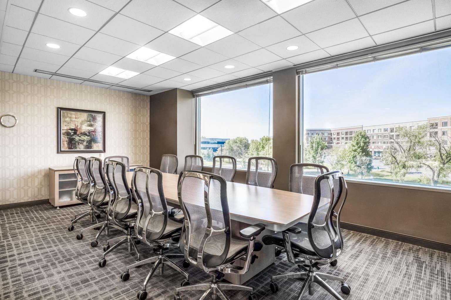 Private Office To Rent, Chicago, 60527 – photo 6