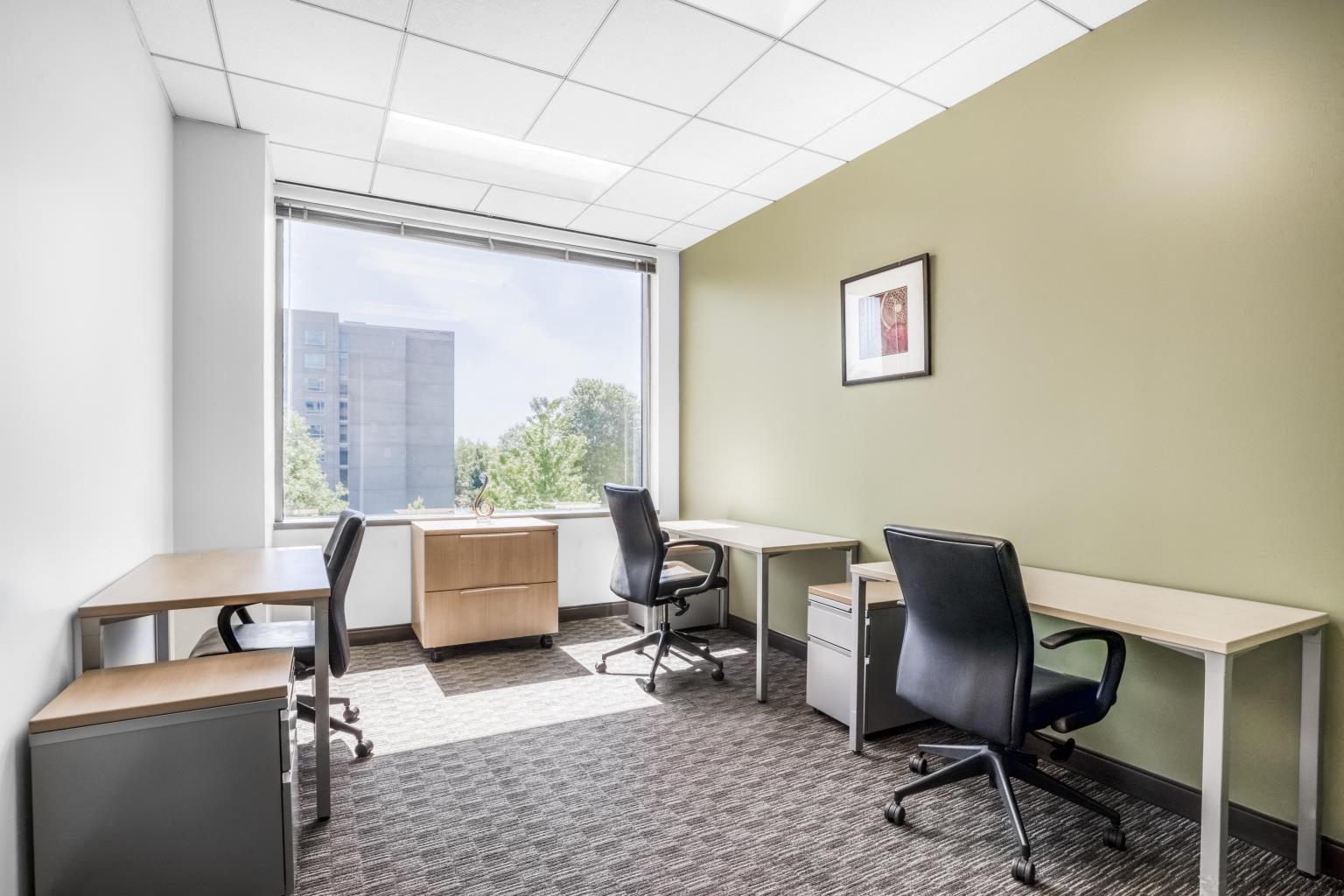 Private Office To Rent, Chicago, 60527 – photo 1
