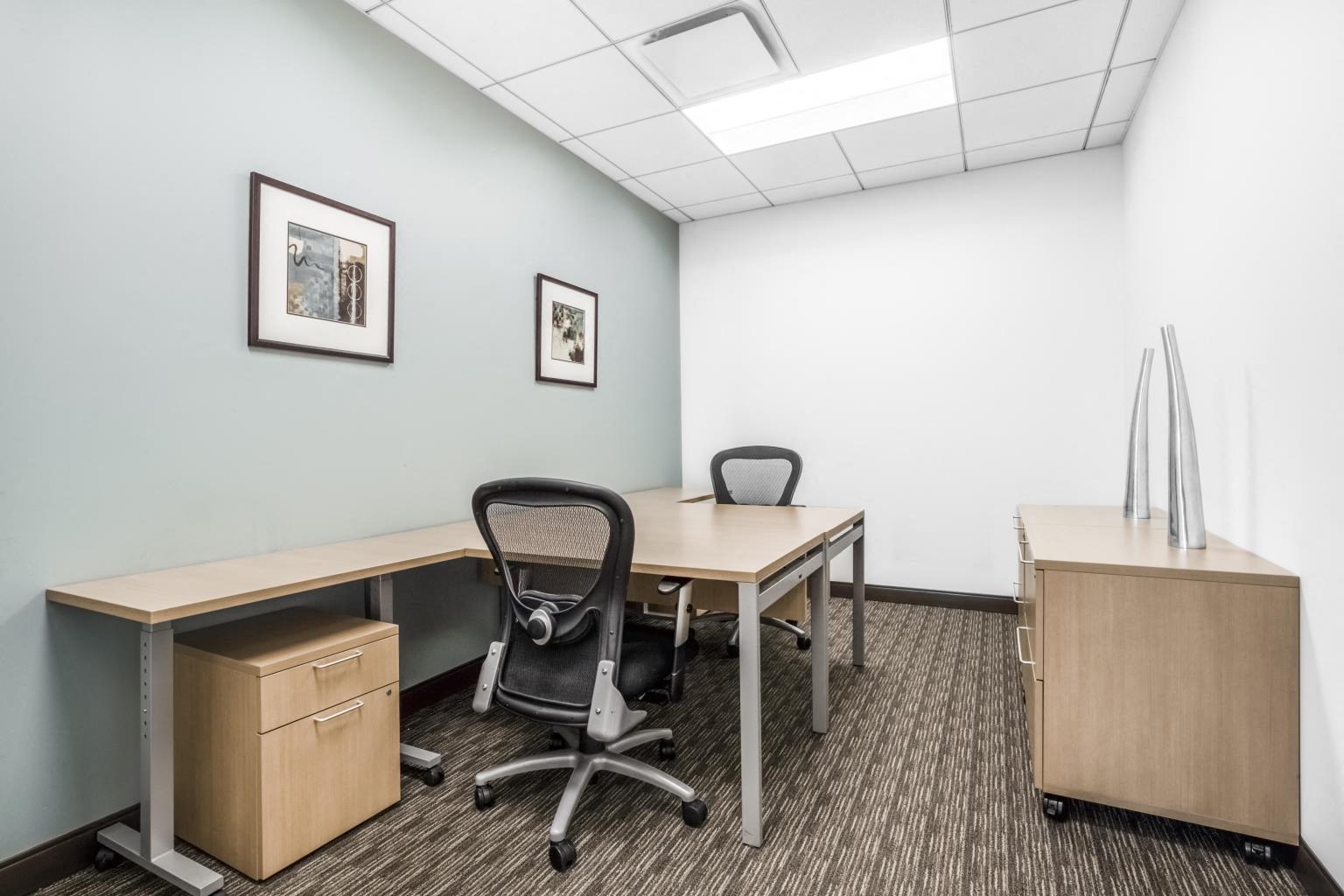 Private Office To Rent, Chicago, 60527 – photo 2