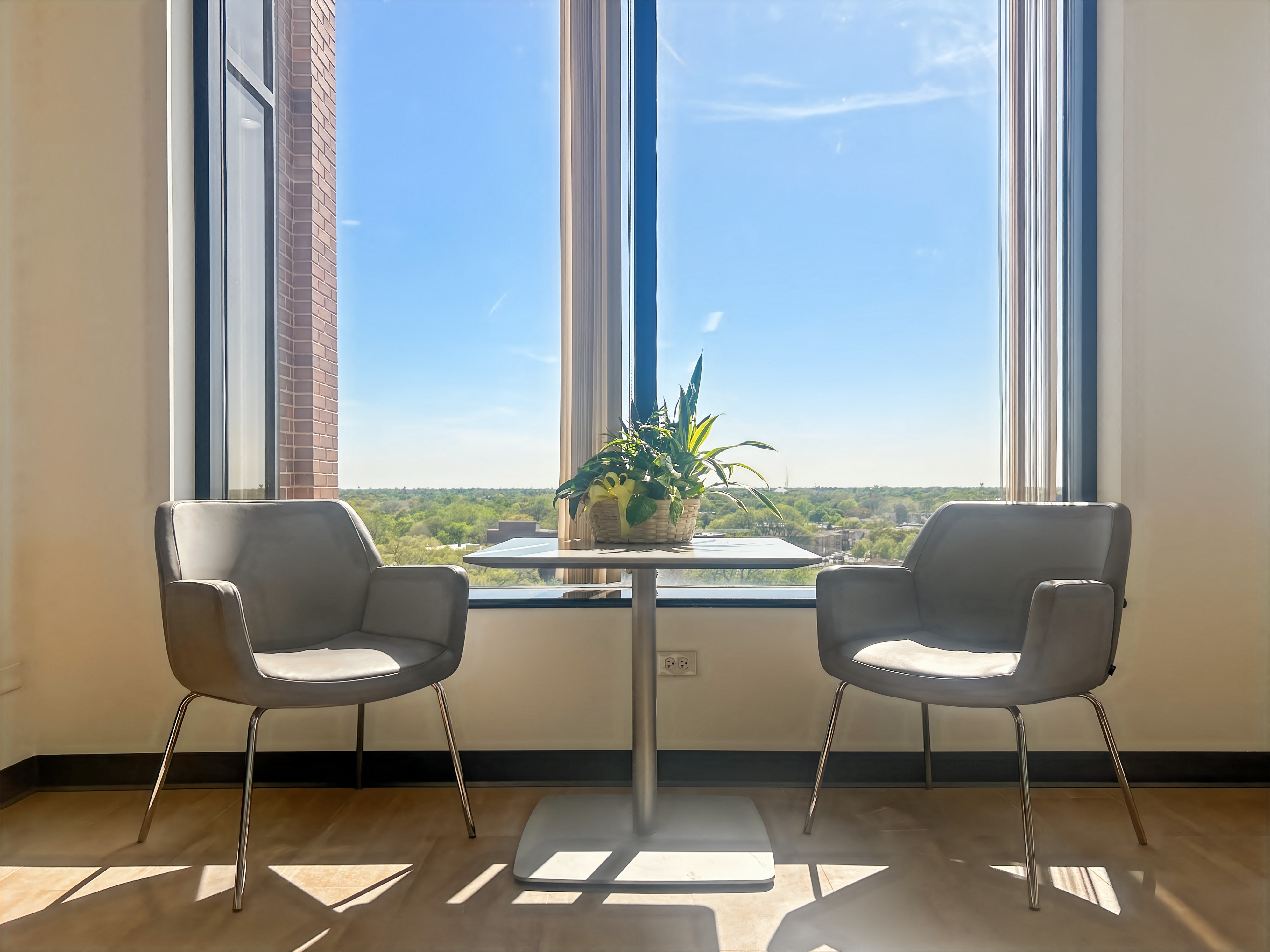 Private Office To Rent, Chicago, 60630 – photo 4