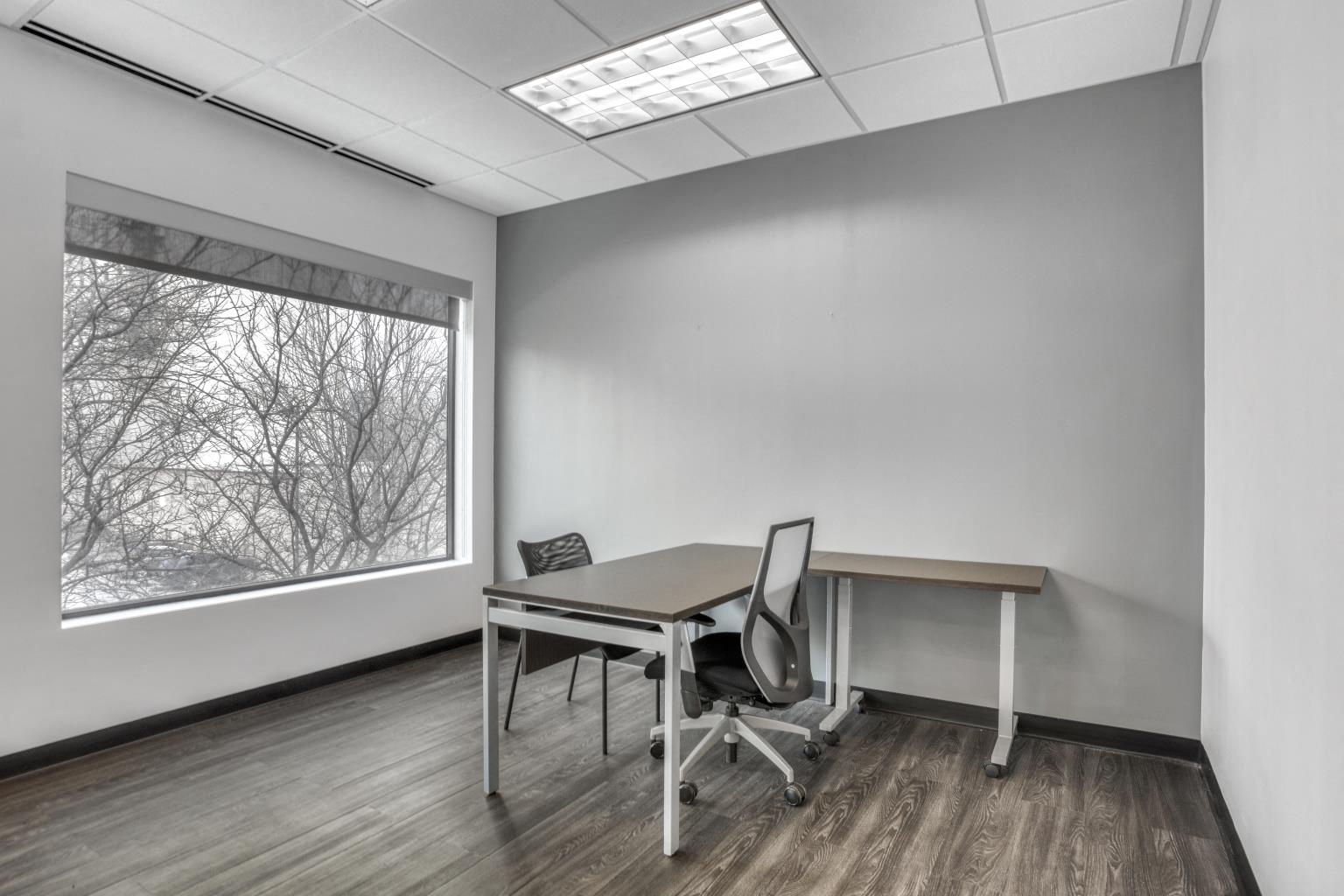 Private Office To Rent, Chicago, 60615 – photo 3