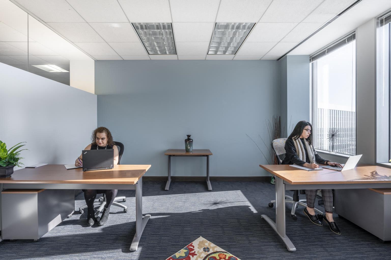Private Office To Rent, Chicago, 60631 – photo 2