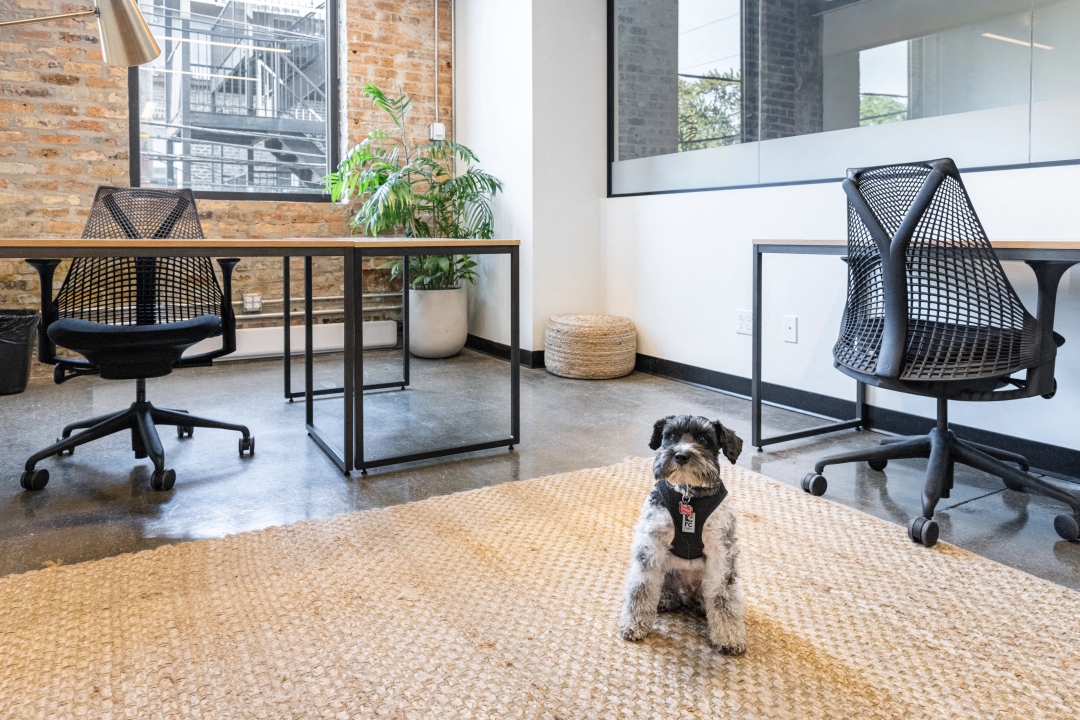 Private Office To Rent, Chicago, 60622 – photo 1