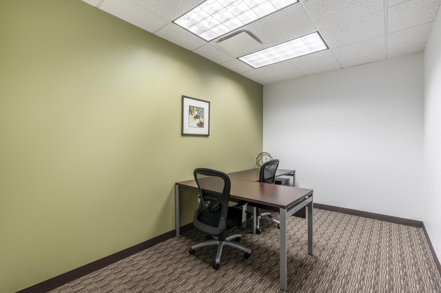 Private Office To Rent, Chicago, 60515 – photo 3