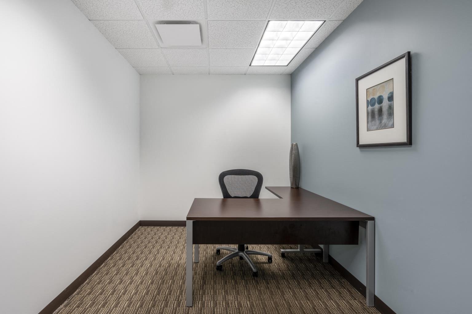 Private Office To Rent, Chicago, 60515 – photo 4