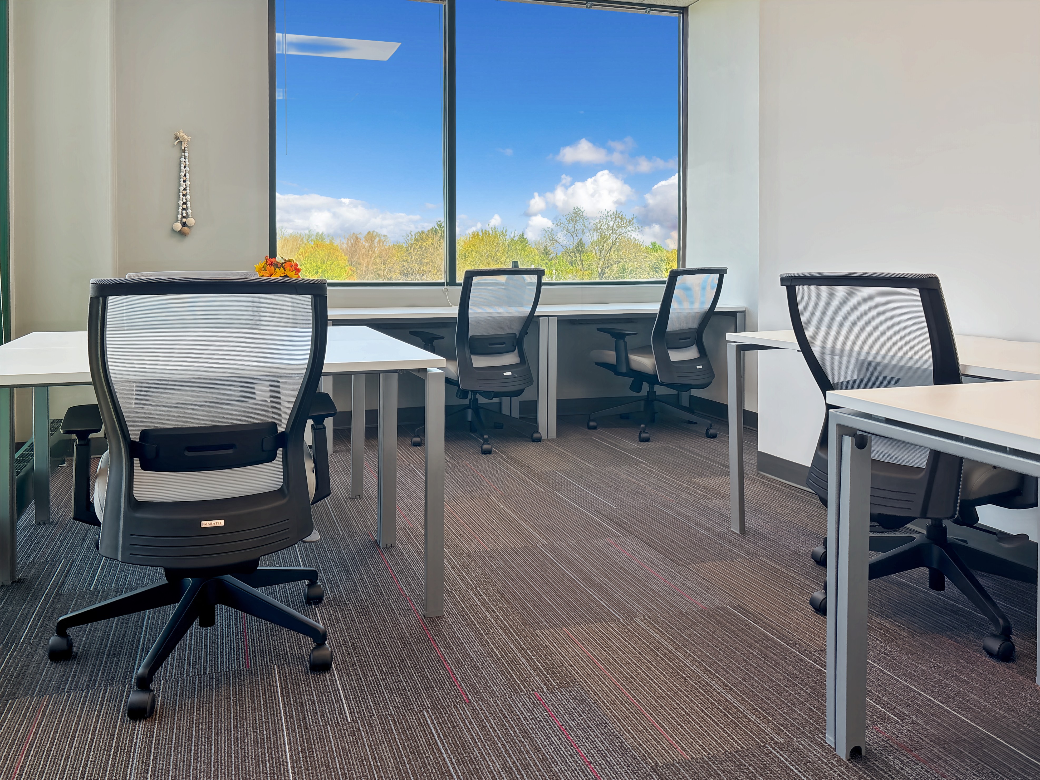 Private Office To Rent, Chicago, 60123 – photo 3