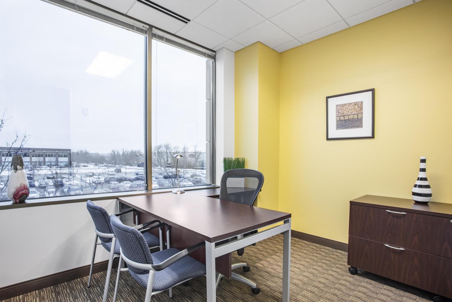 Private Office To Rent, Chicago, 60026 – photo 1