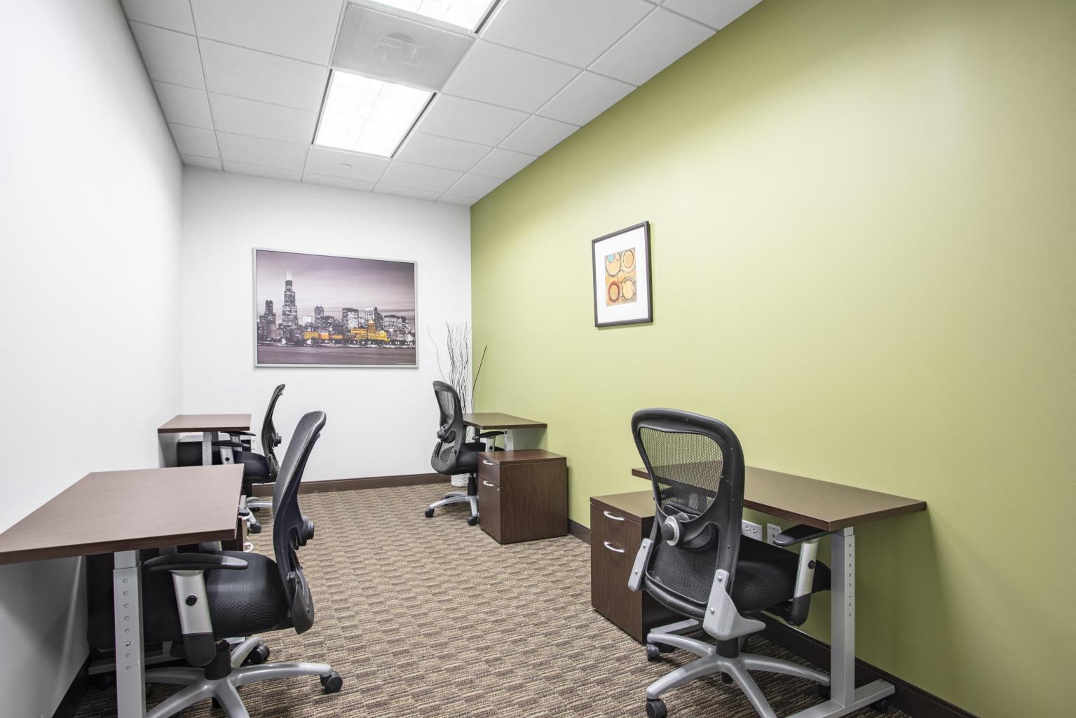Private Office To Rent, Chicago, 60026 – photo 3