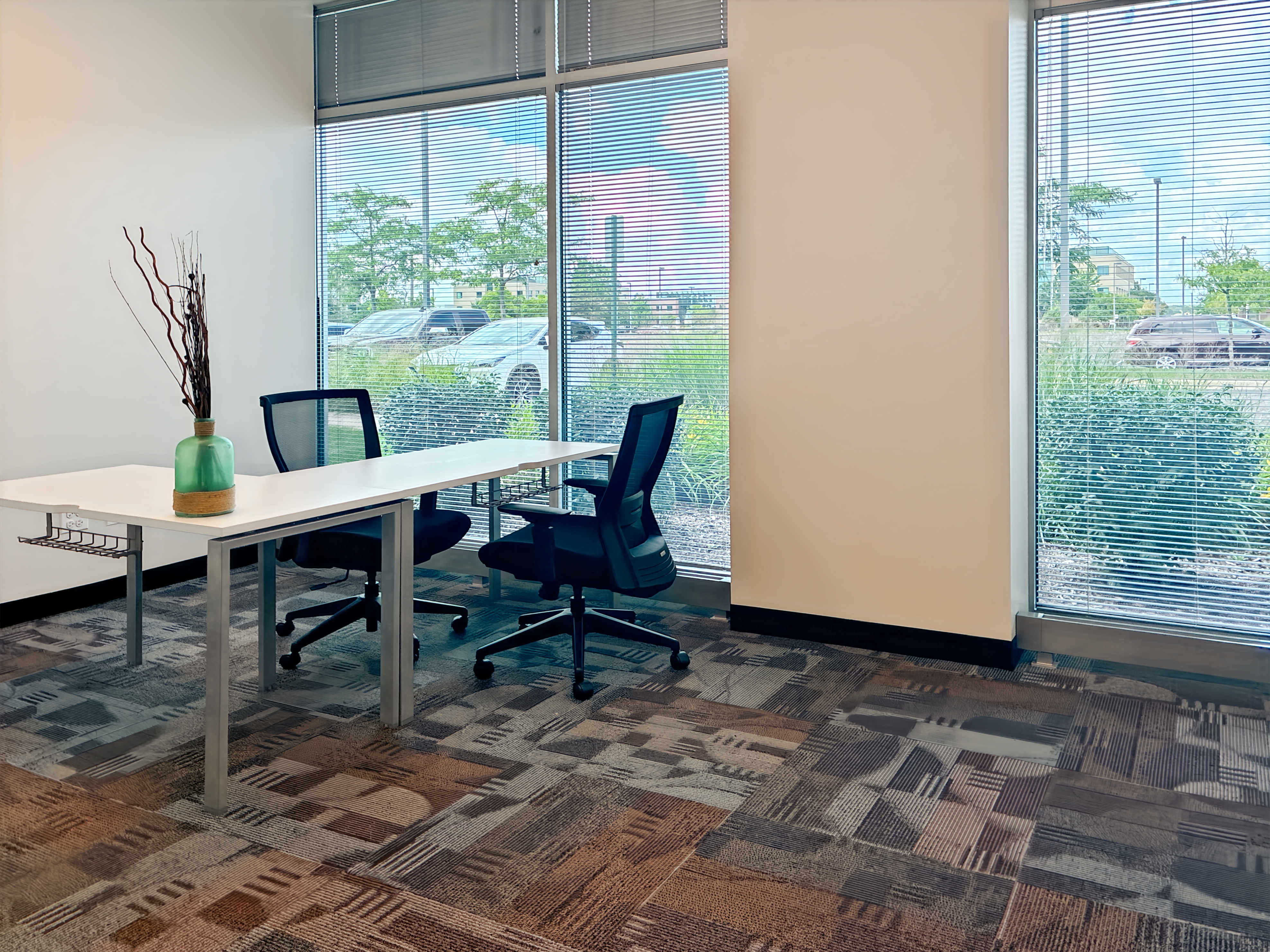 Private Office To Rent, Chicago, 60192 – photo 6