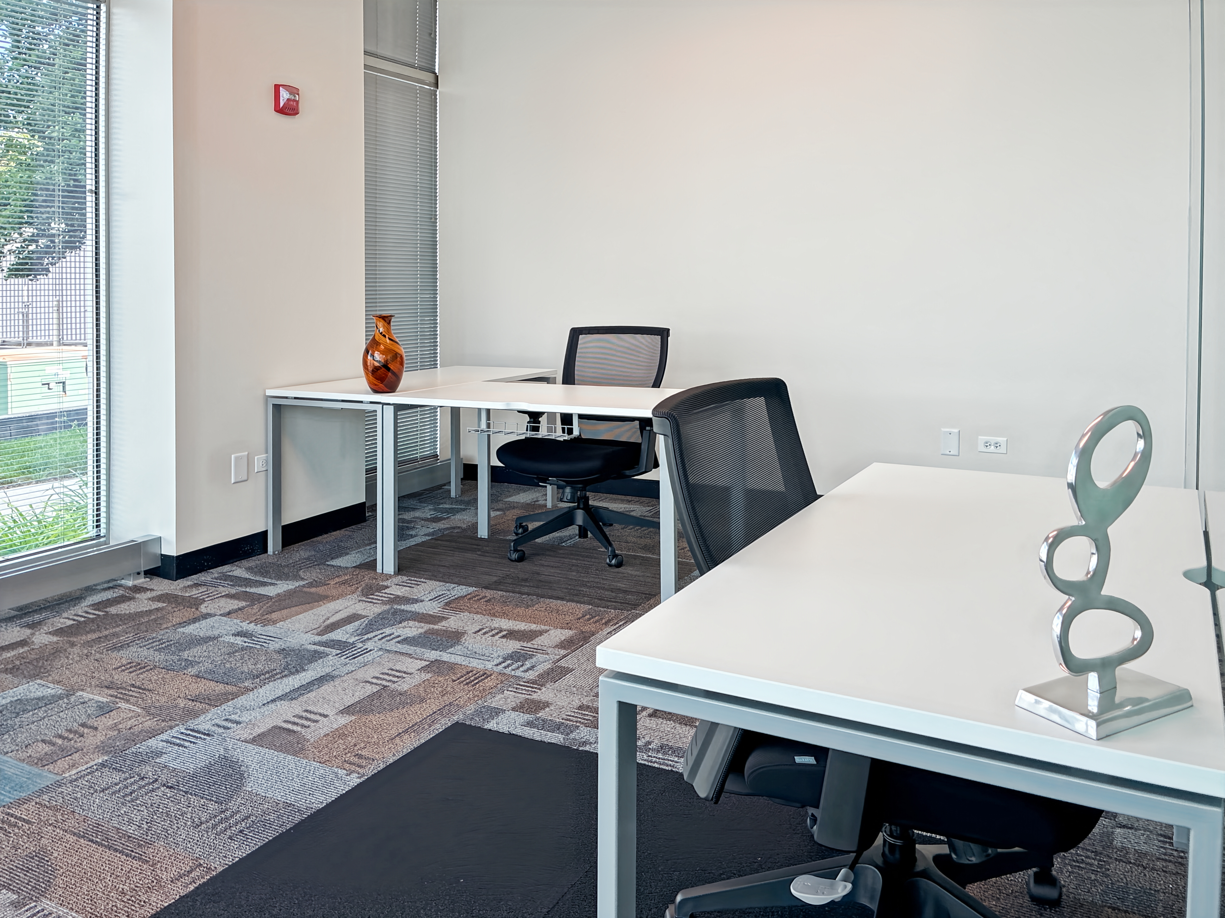 Private Office To Rent, Chicago, 60192 – photo 2
