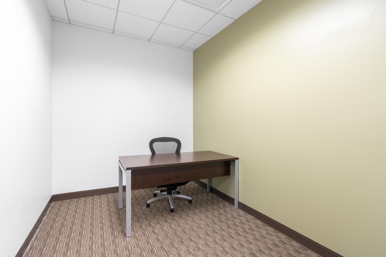 Private Office To Rent, Chicago, 60045 – photo 3