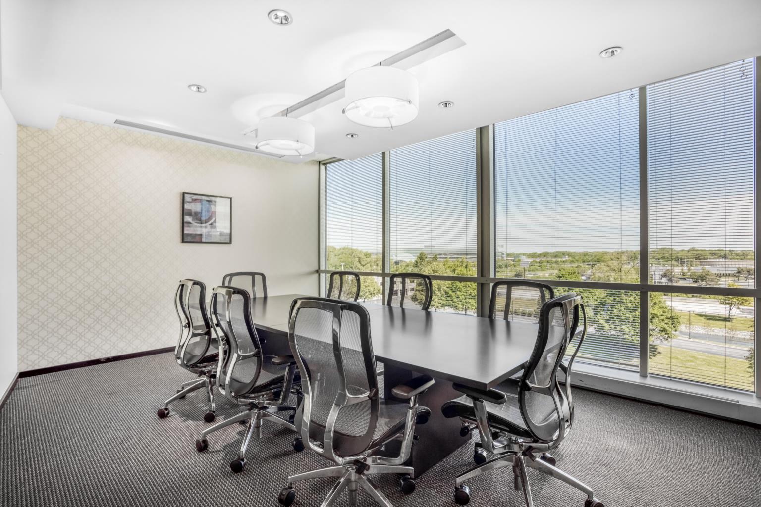 Private Office To Rent, Chicago, 60532 – photo 4