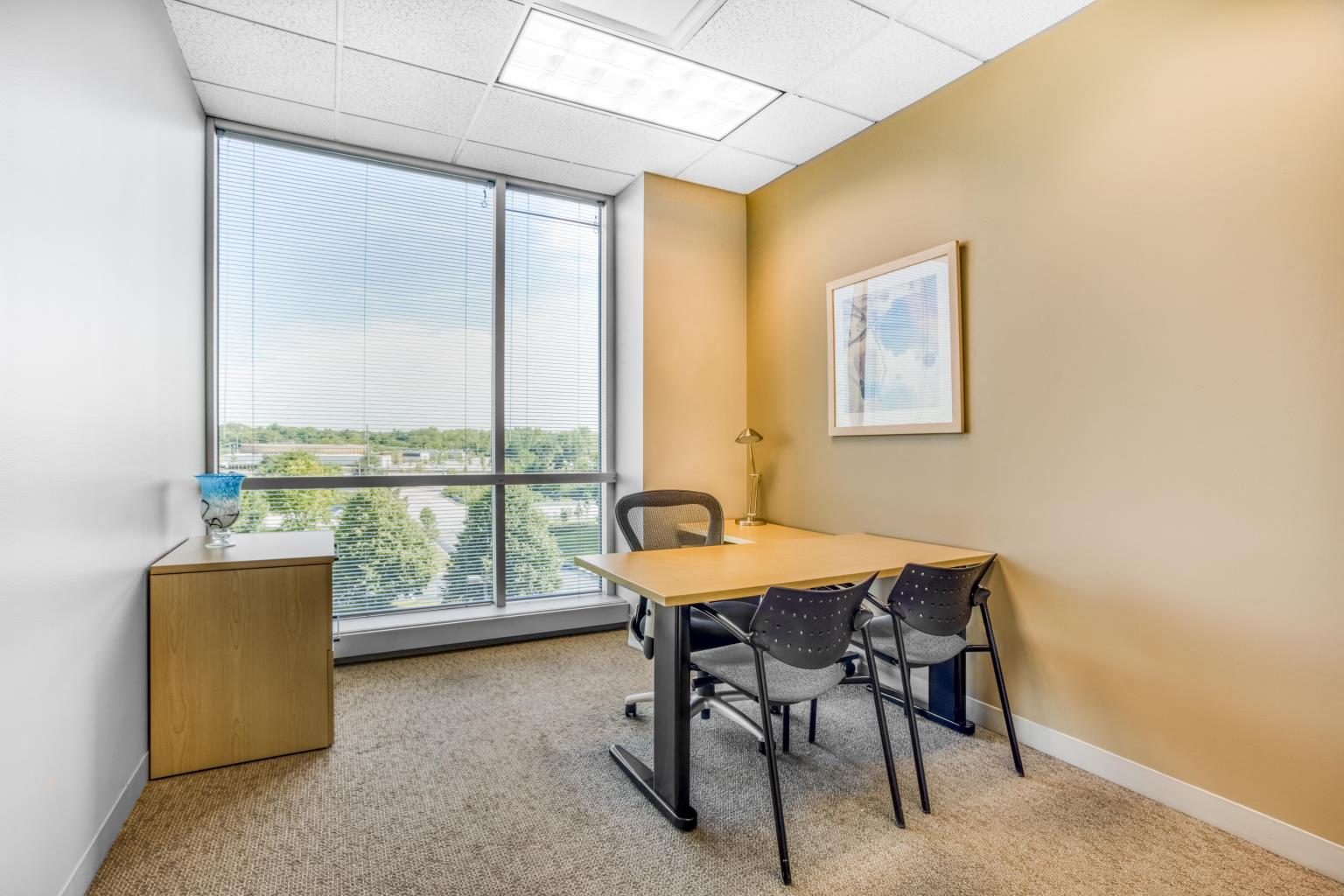 Private Office To Rent, Chicago, 60532 – photo 2