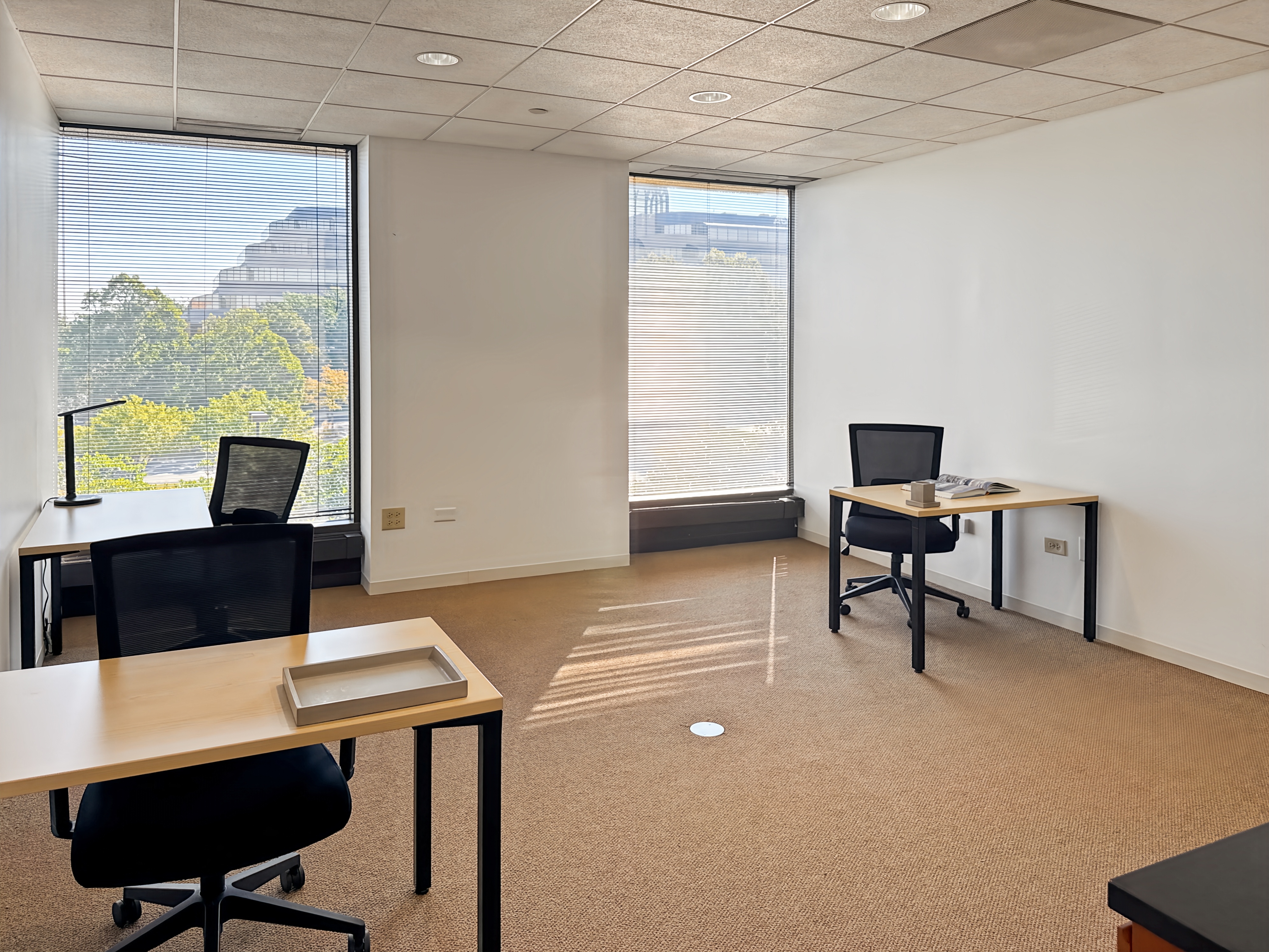 Private Office To Rent, Chicago, 60532 – photo 2