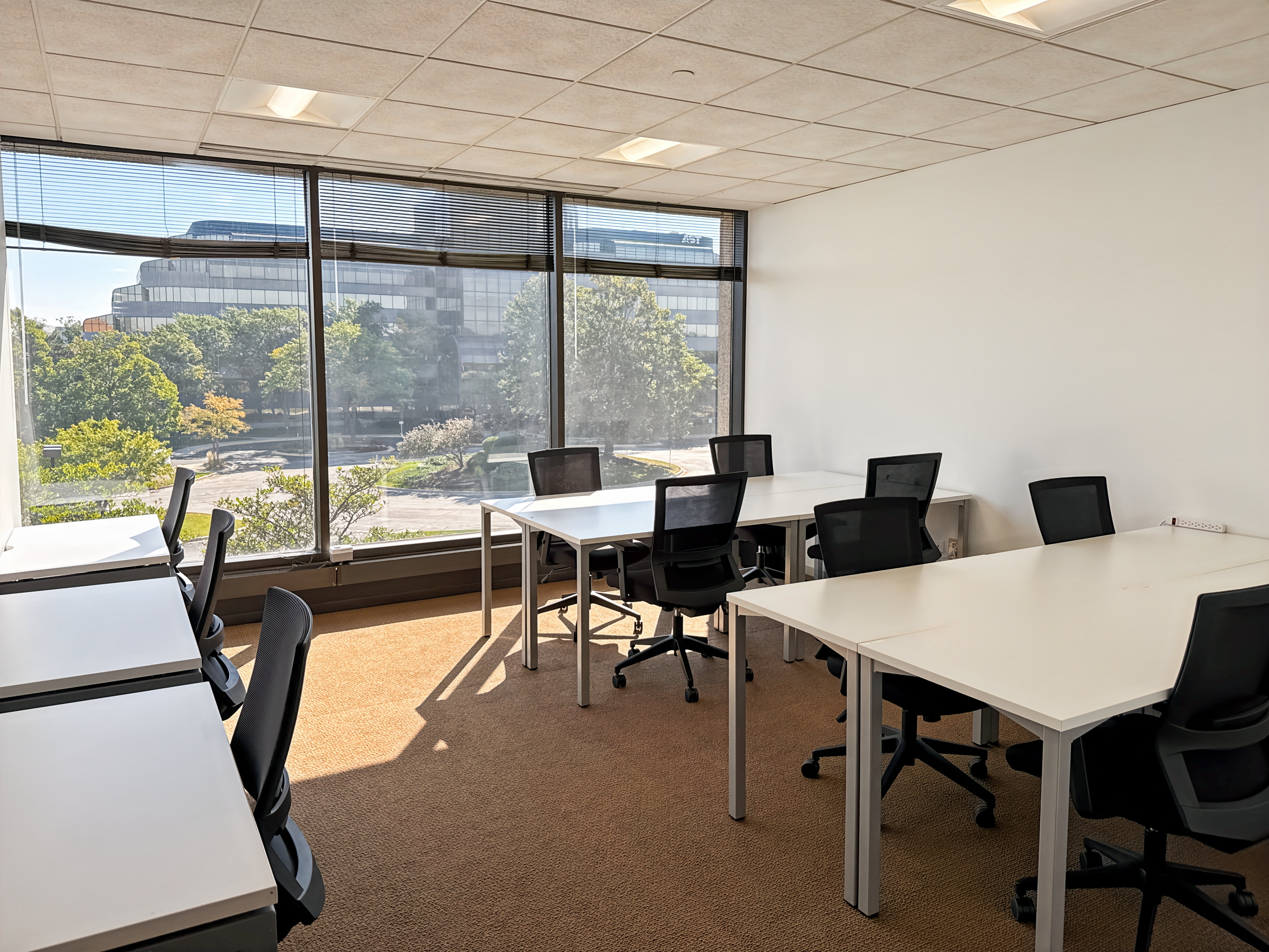 Private Office To Rent, Chicago, 60532 – photo 1