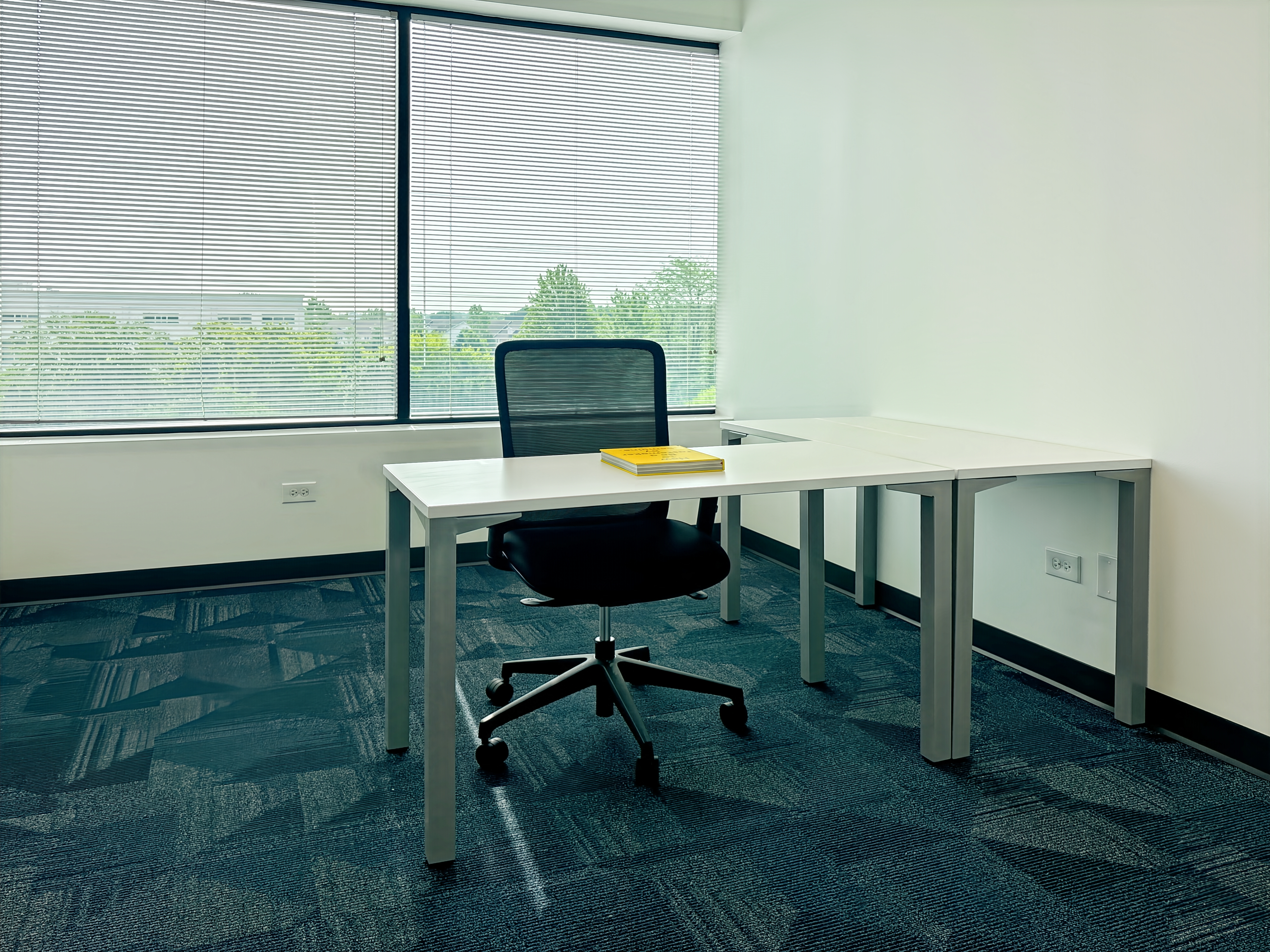 Private Office To Rent, Chicago, 60563 – photo 2