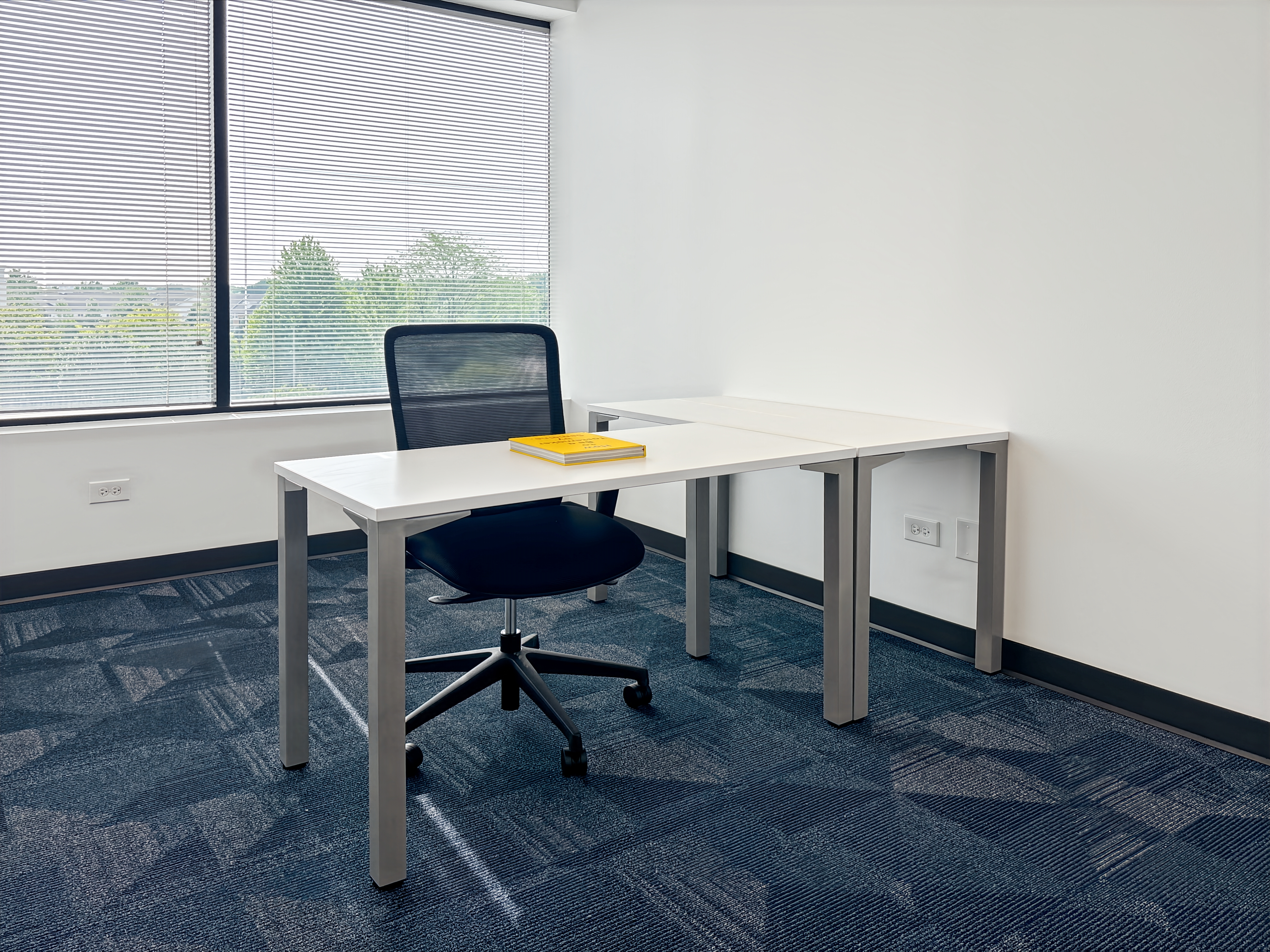 Private Office To Rent, Chicago, 60563 – photo 6