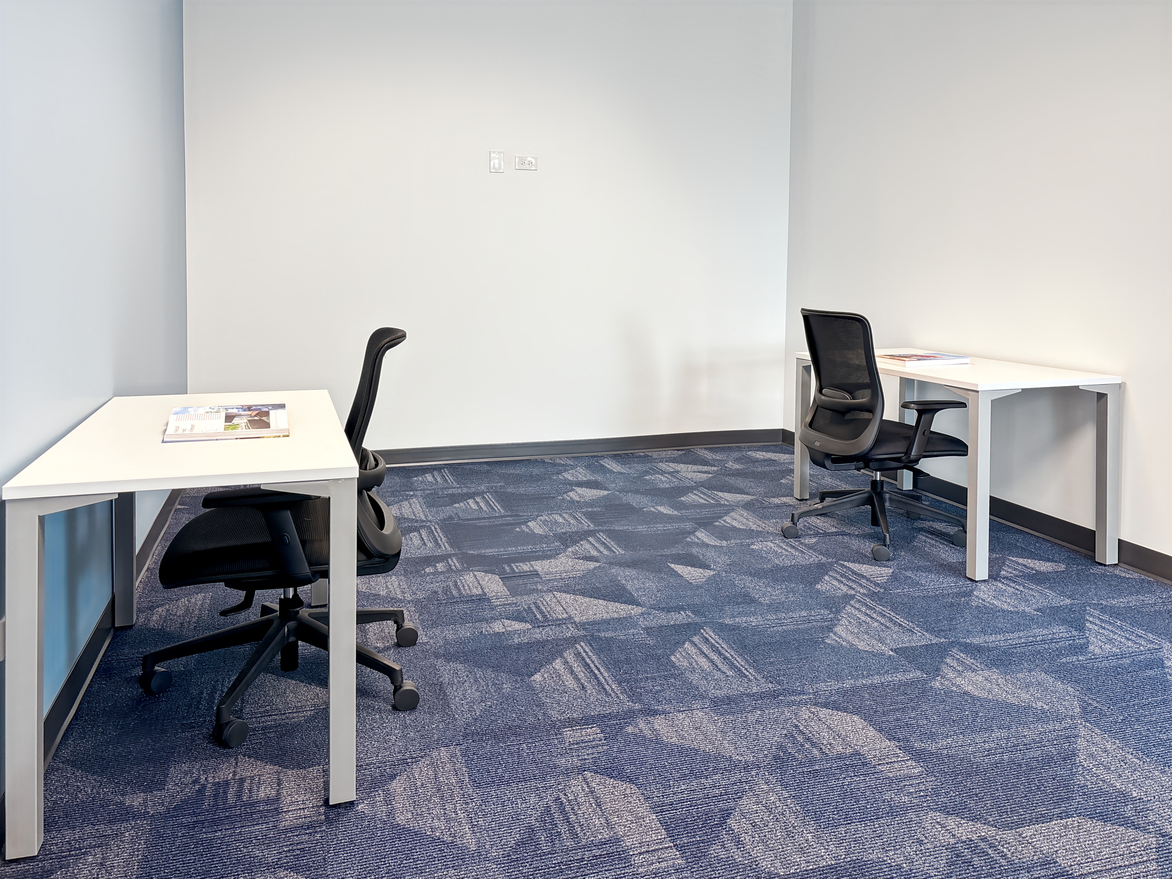 Private Office To Rent, Chicago, 60563 – photo 4