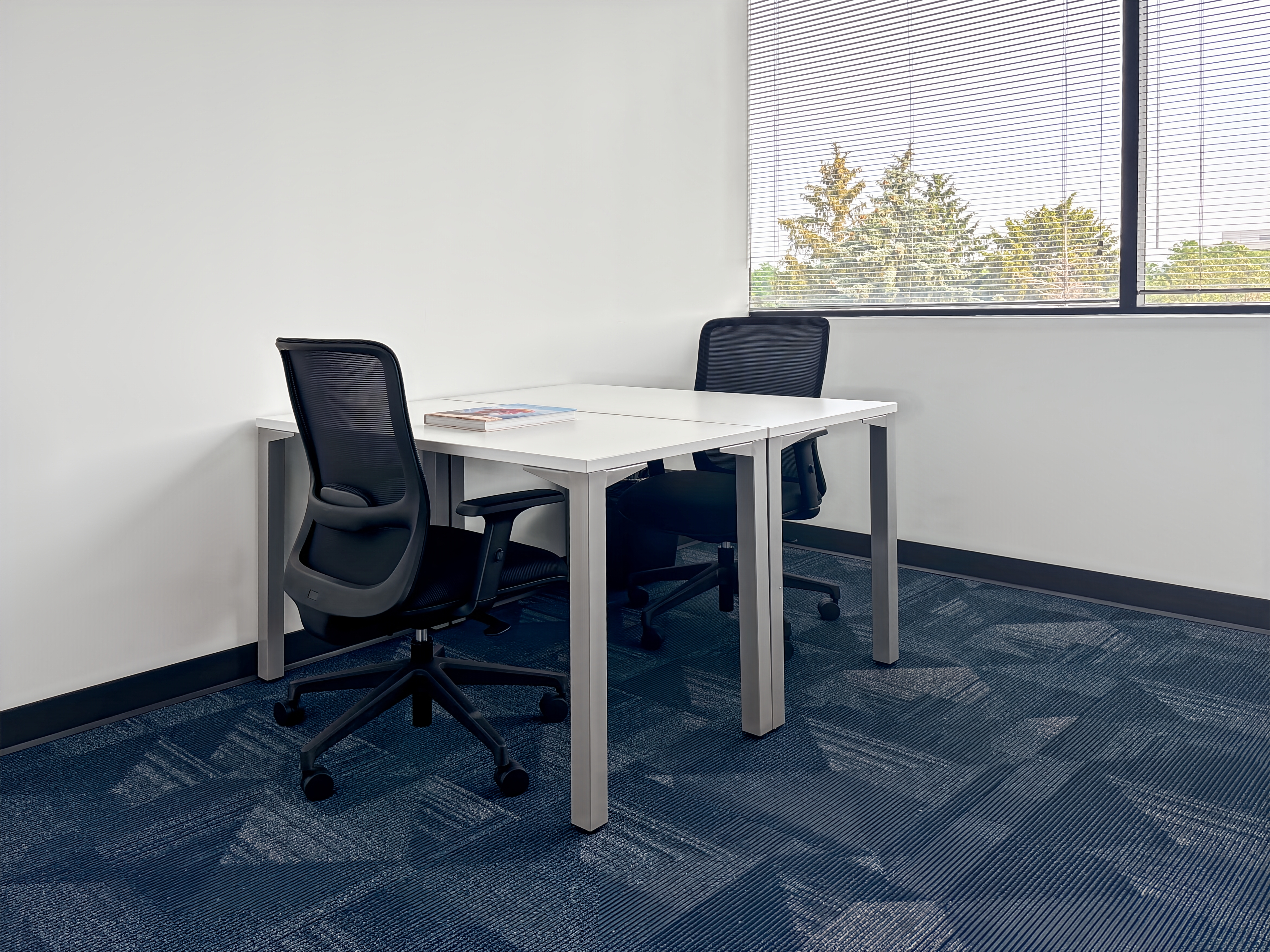 Private Office To Rent, Chicago, 60563 – photo 3