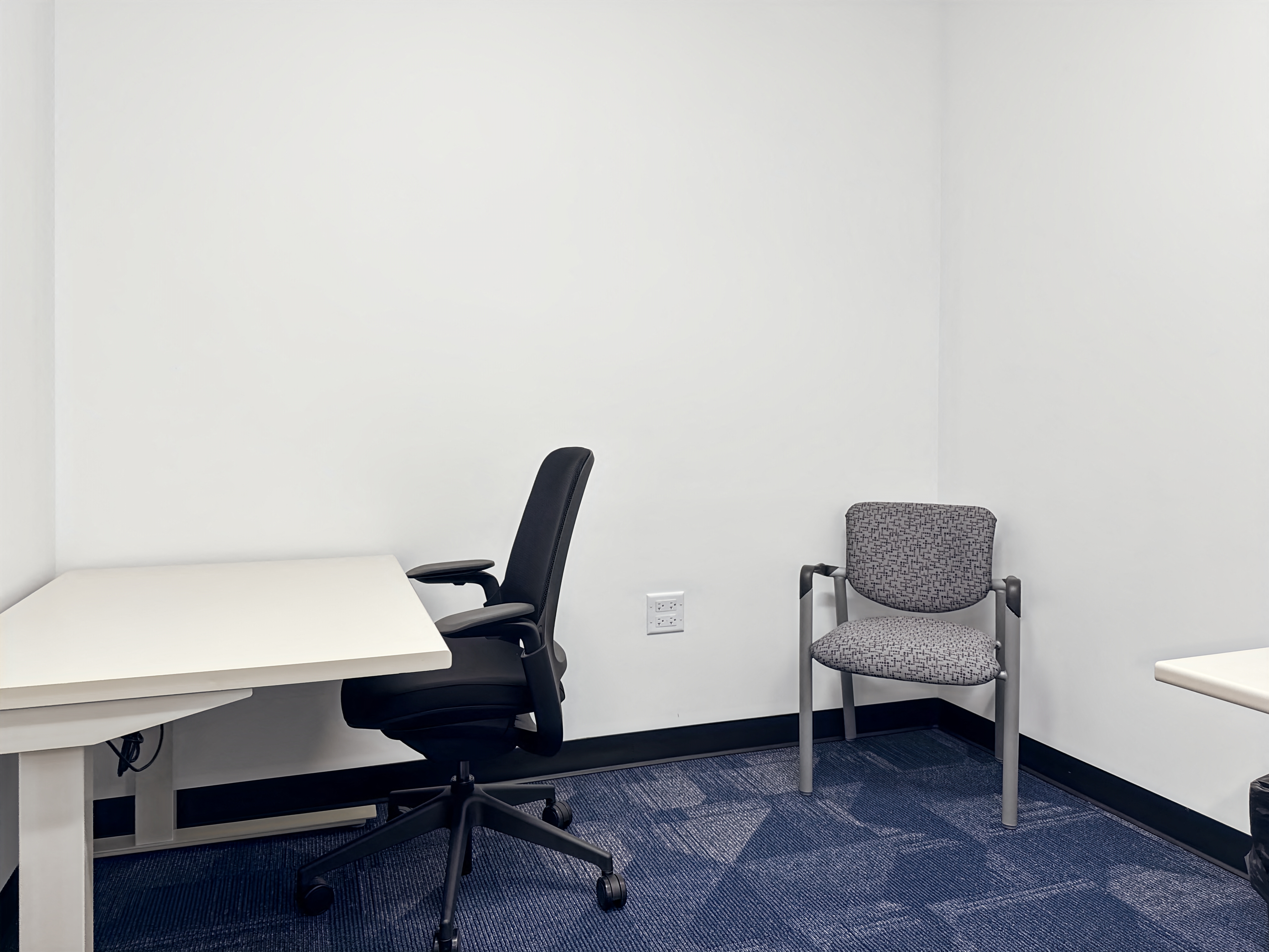 Private Office To Rent, Chicago, 60564 – photo 2