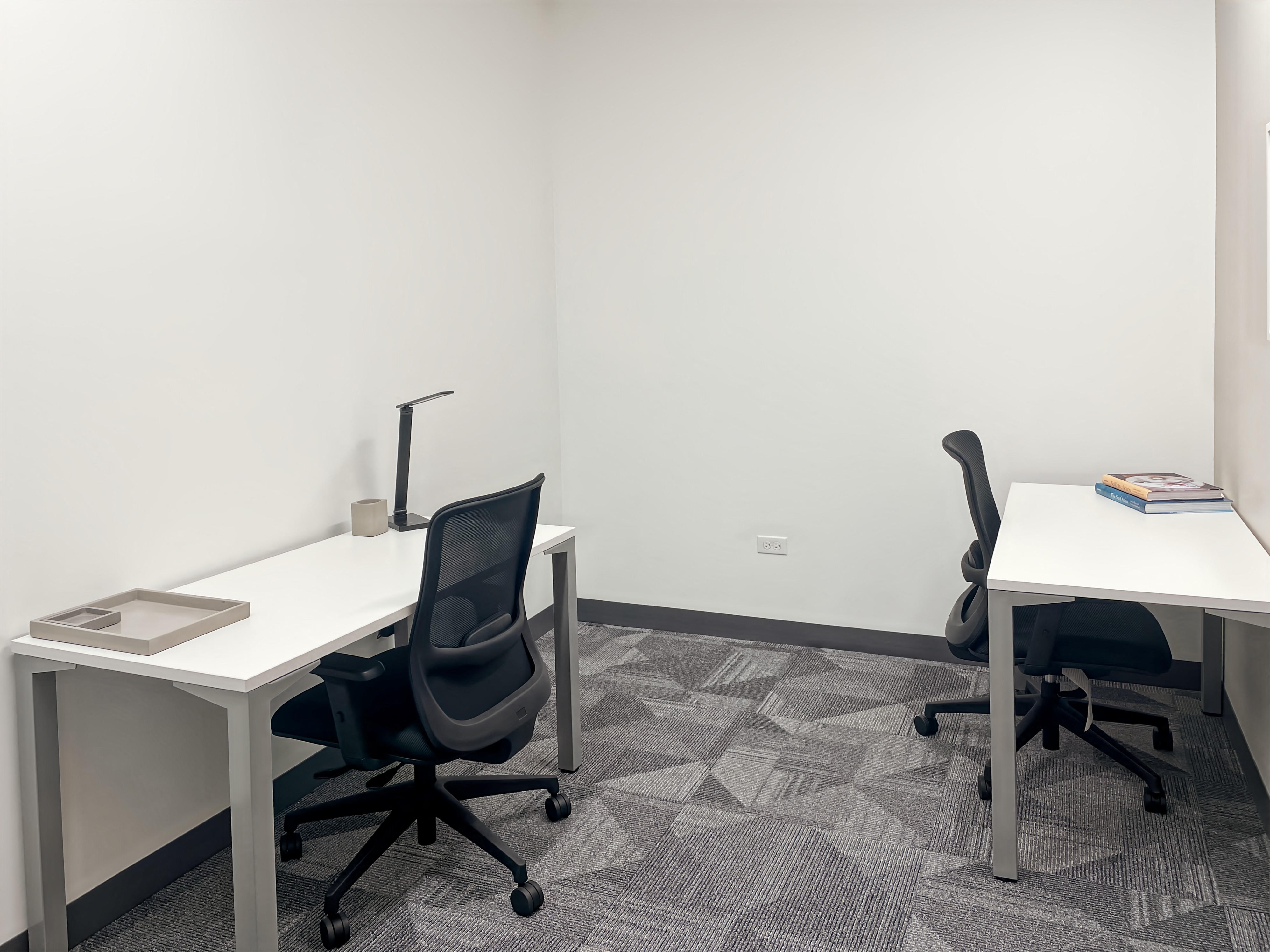 Private Office To Rent, Chicago, 60540 – photo 2