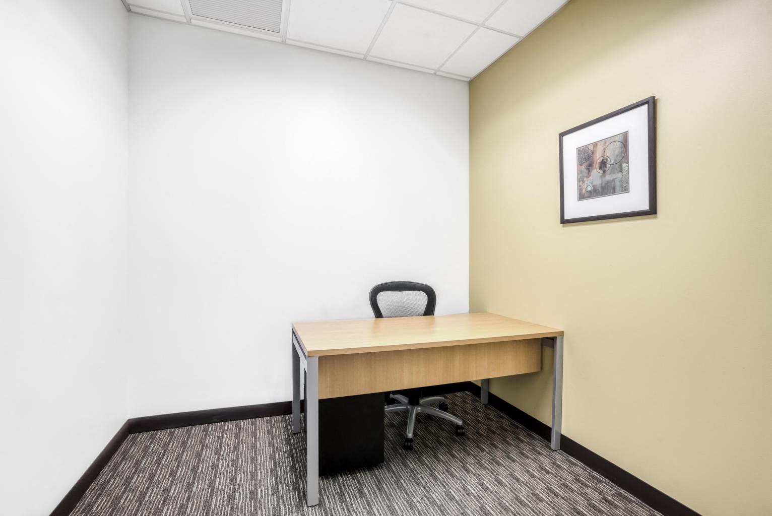 Private Office To Rent, Chicago, 60540 – photo 3
