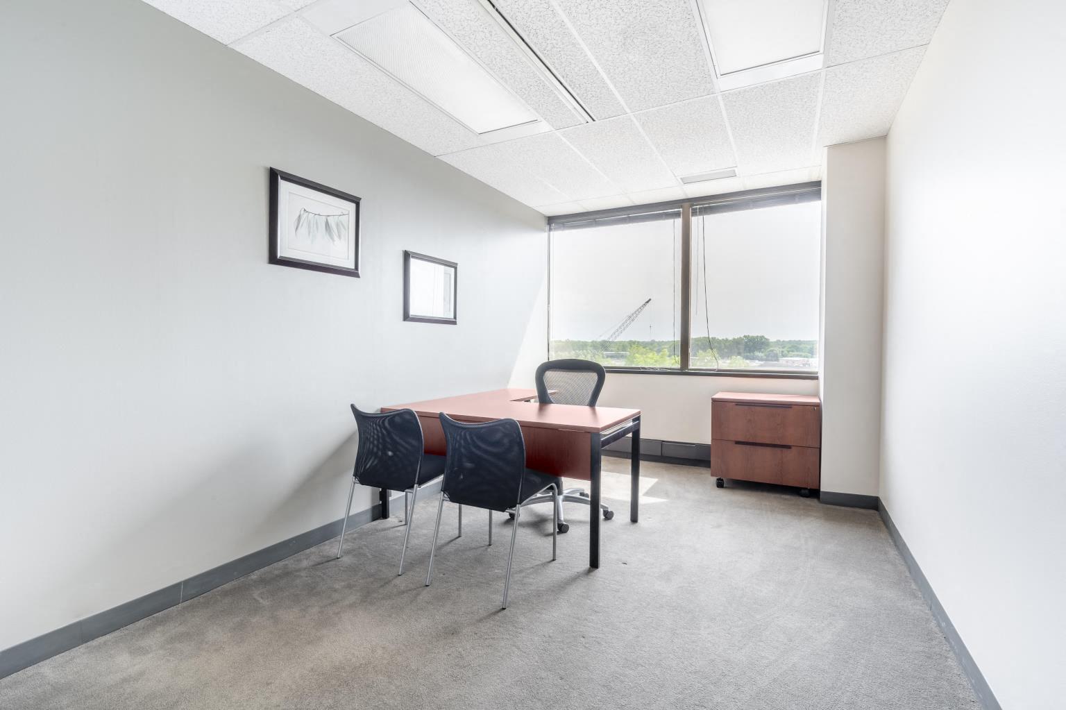 Private Office To Rent, Chicago, 60062 – photo 4