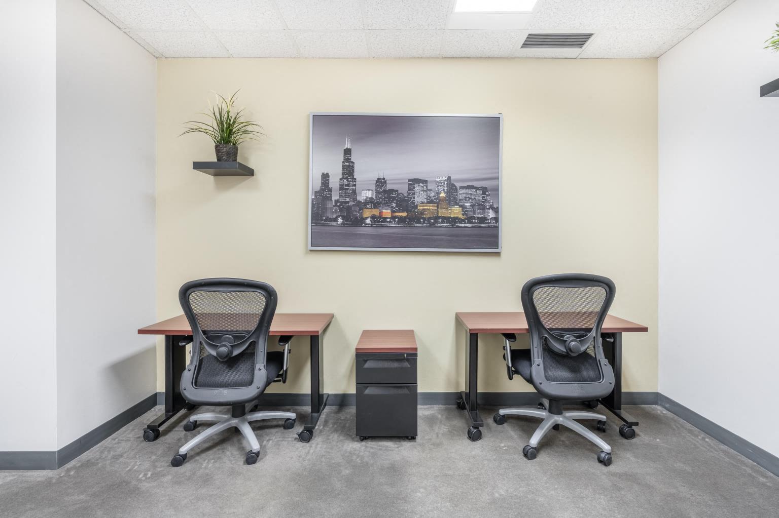 Private Office To Rent, Chicago, 60062 – photo 3