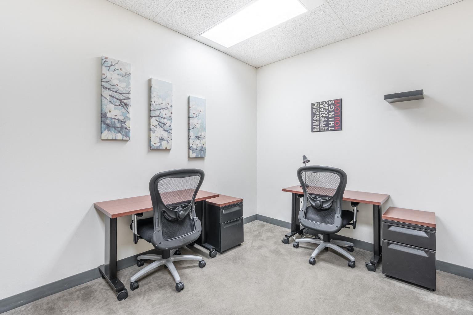 Private Office To Rent, Chicago, 60062 – photo 2