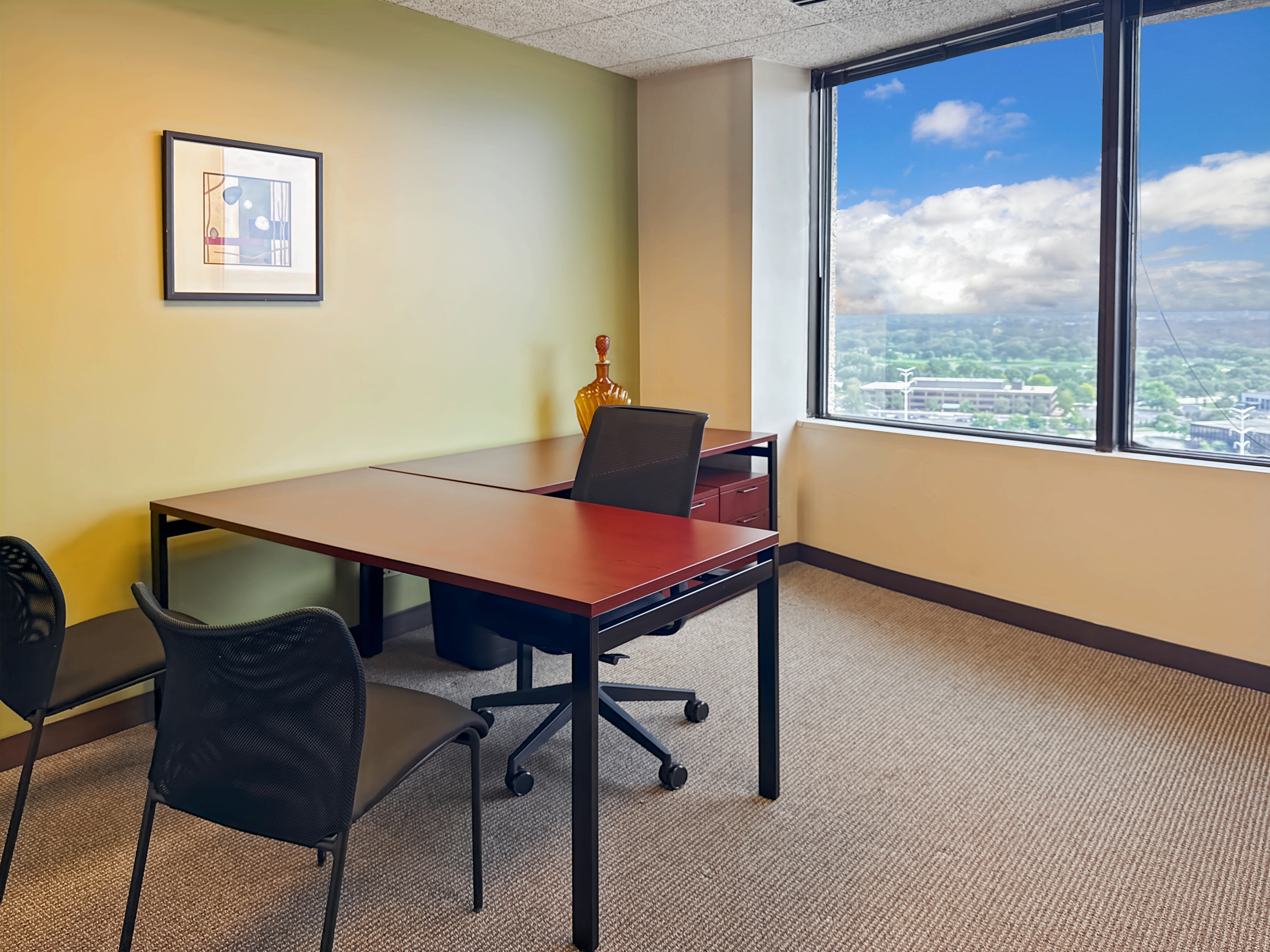 Private Office To Rent, Chicago, 60523 – photo 5