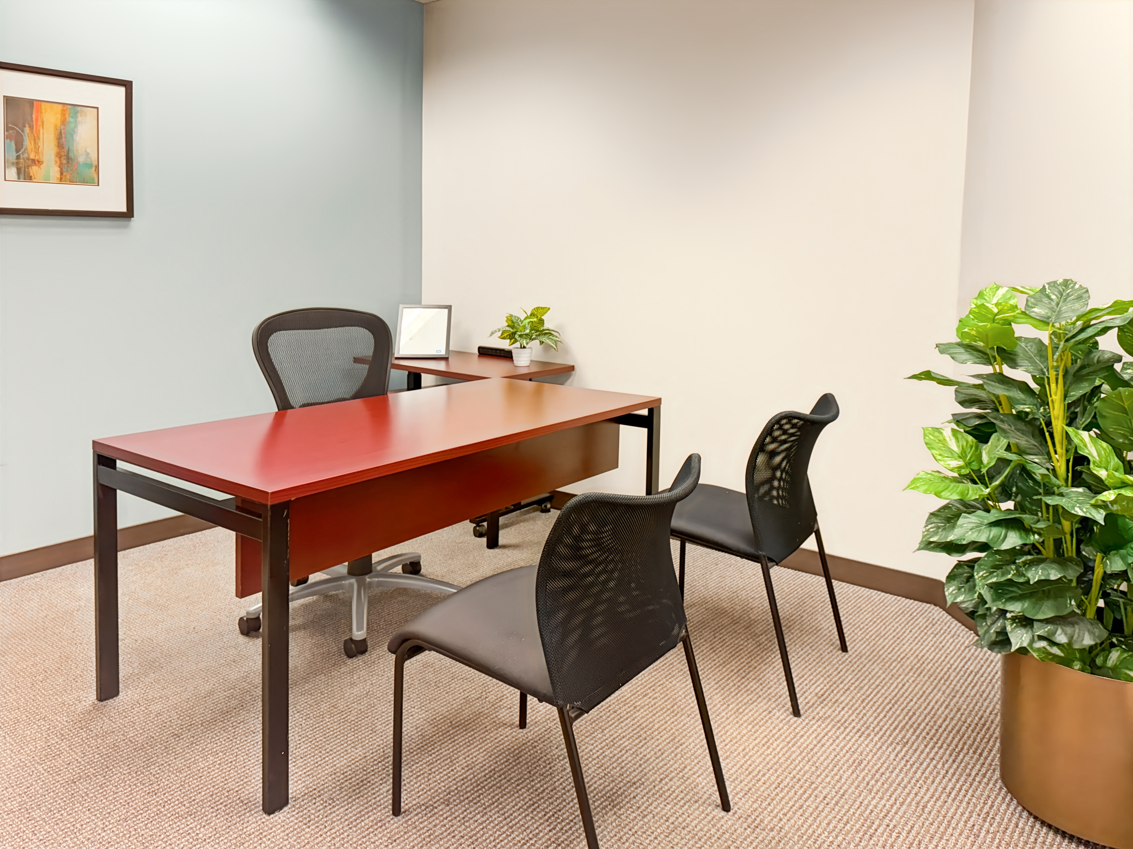 Private Office To Rent, Chicago, 60523 – photo 4