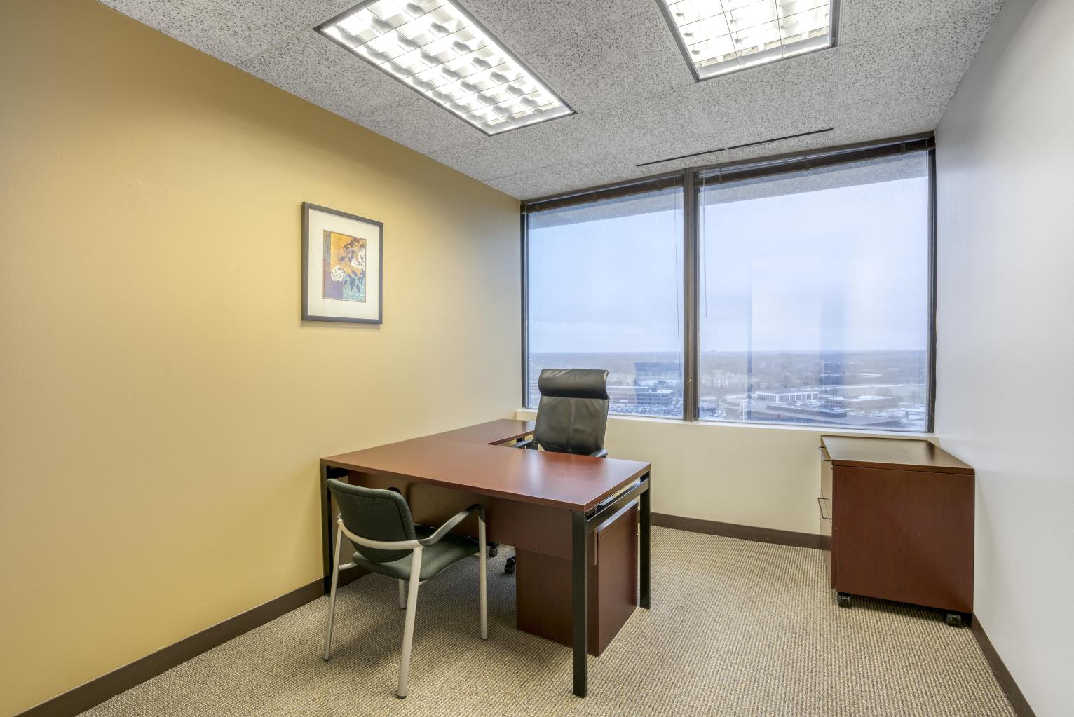 Private Office To Rent, Chicago, 60523 – photo 1