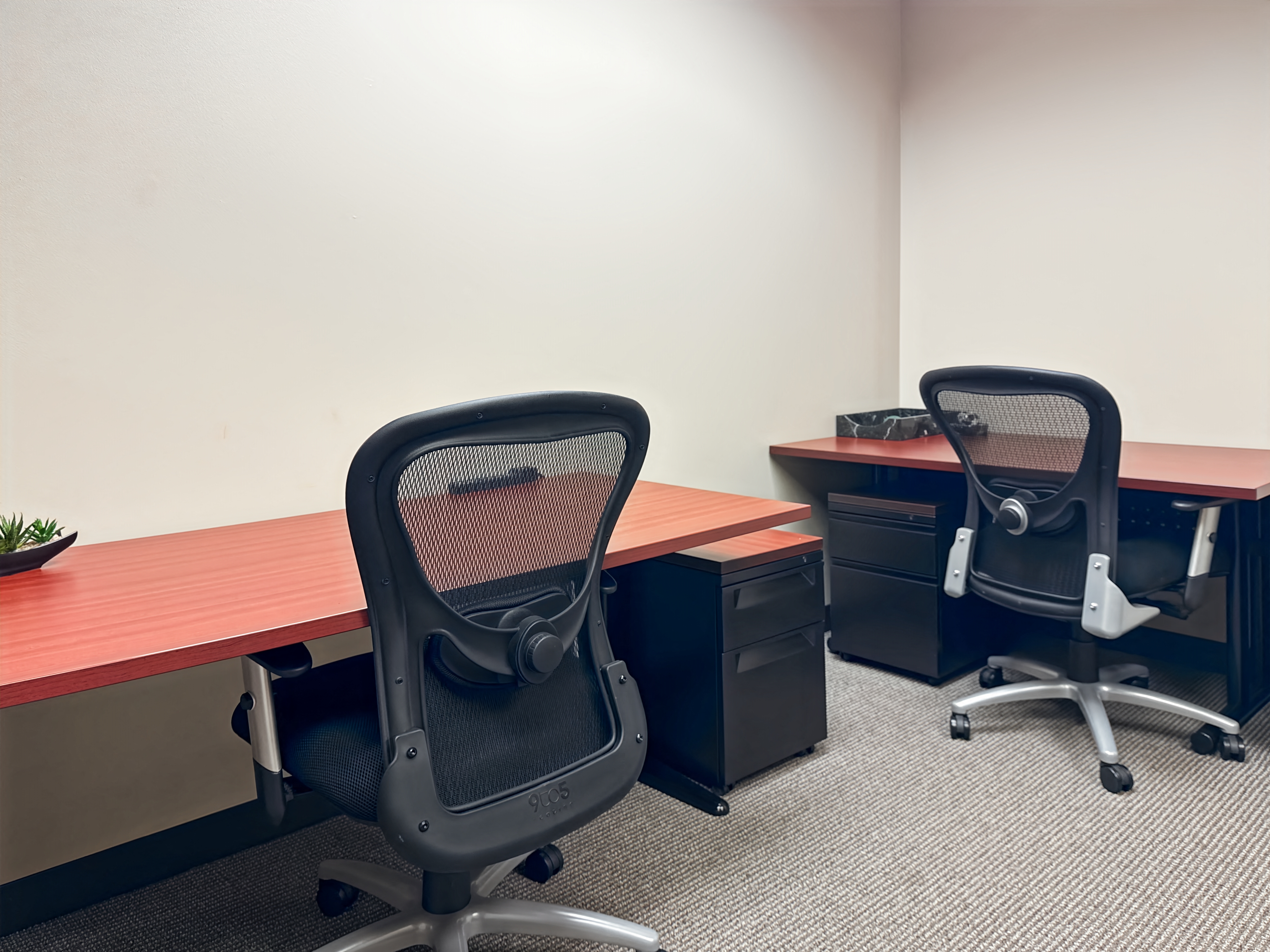 Private Office To Rent, Chicago, 60523 – photo 2
