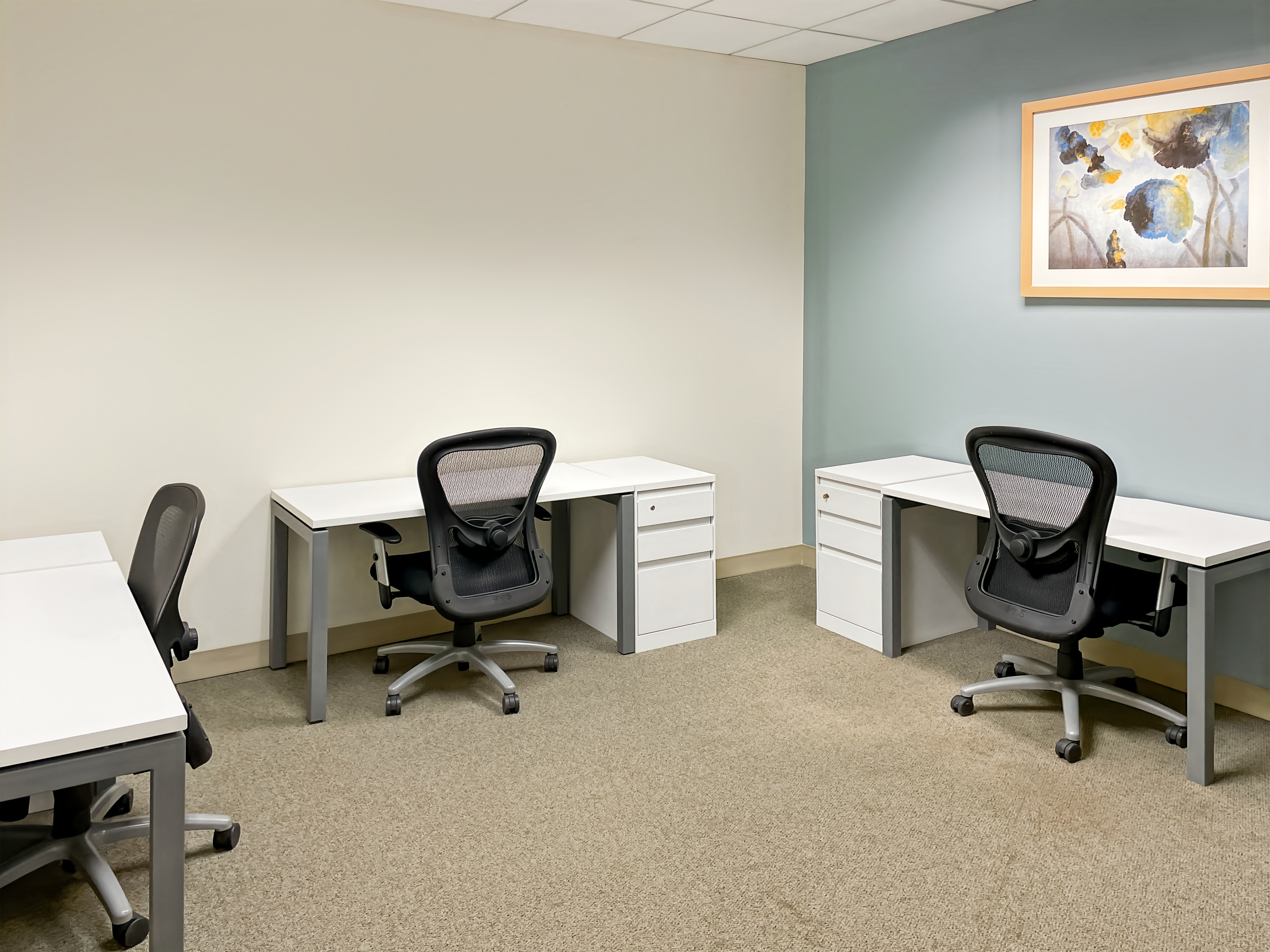 Private Office To Rent, Chicago, 60523 – photo 2